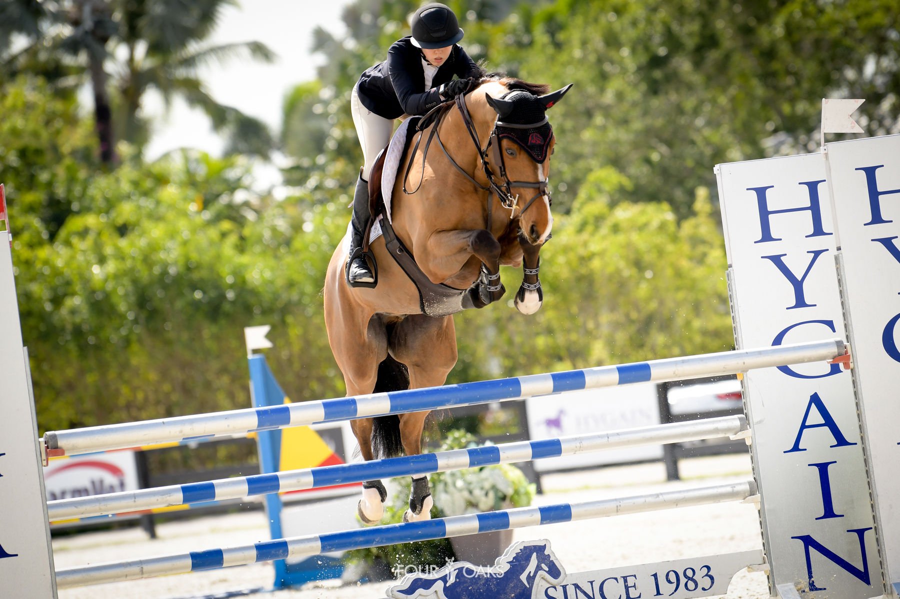 Niki_WEF7_Thursday-2.jpg