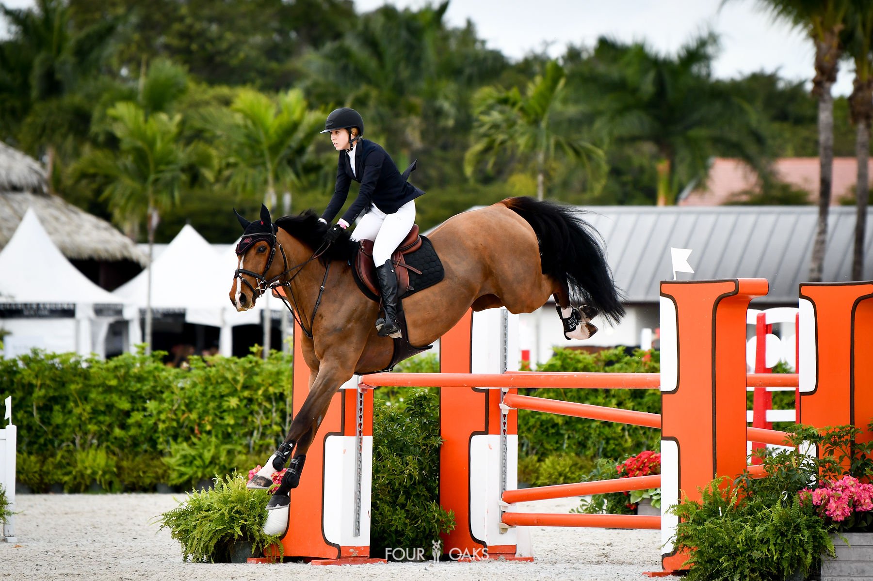 Niki_WEF7_Wednesday-2 (1).jpg