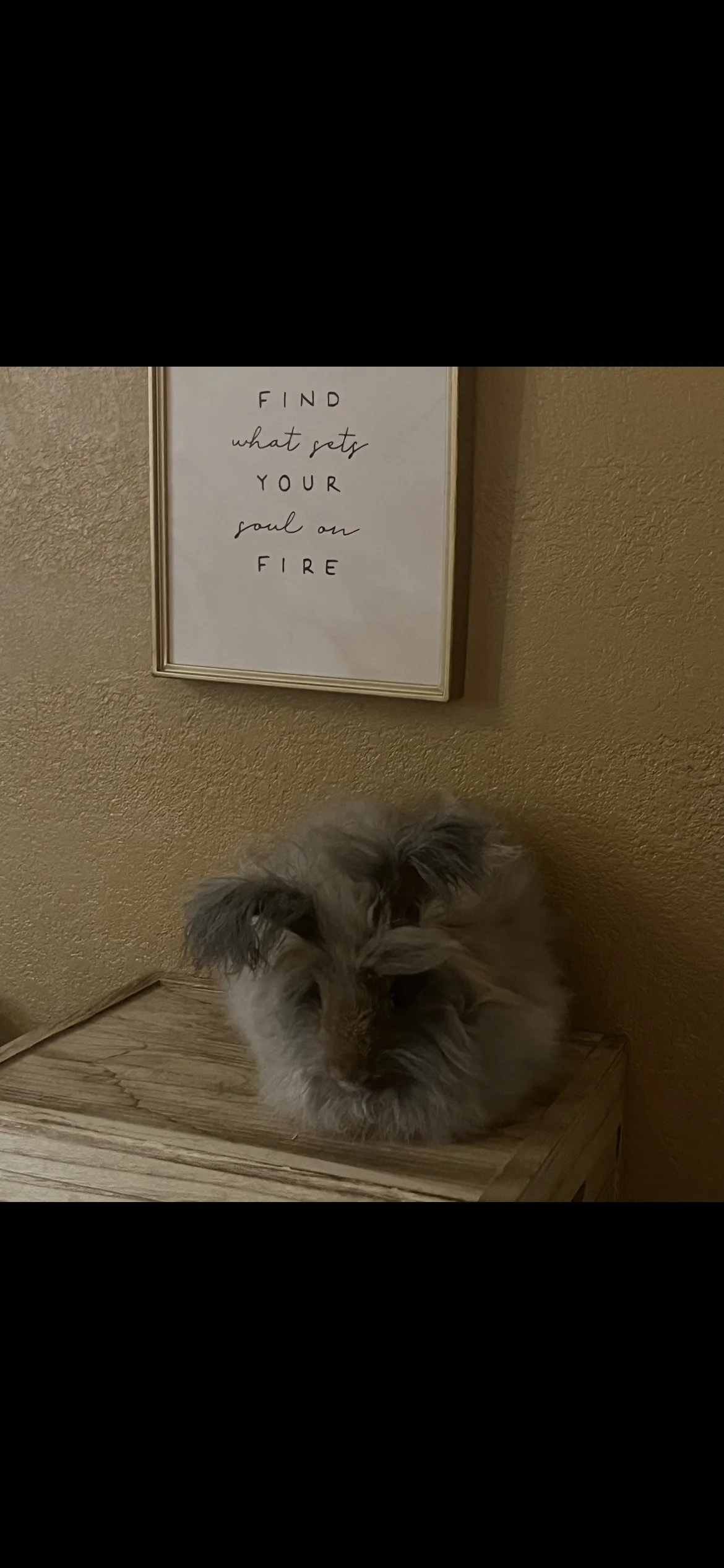 Harvey