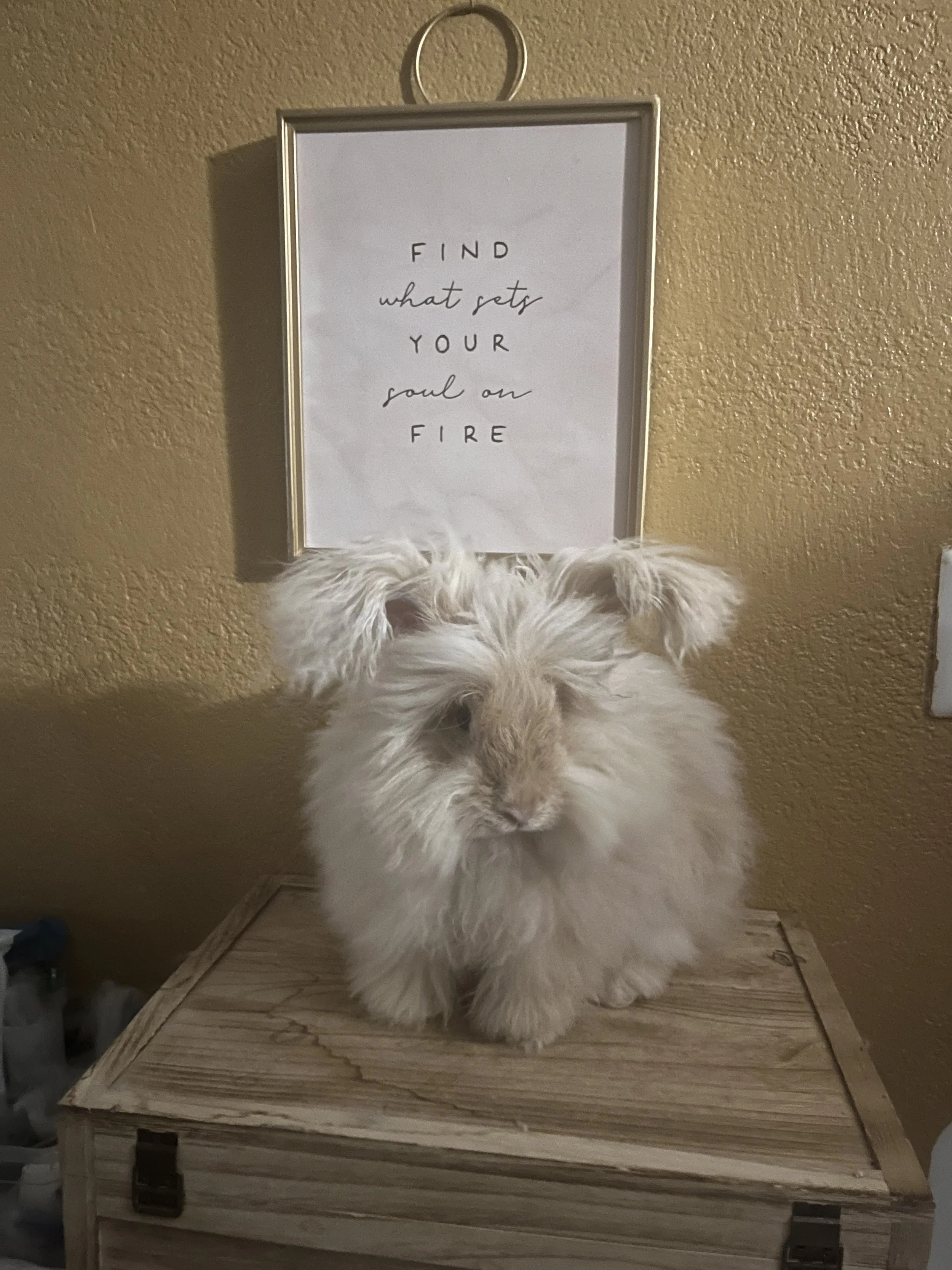 Waldo