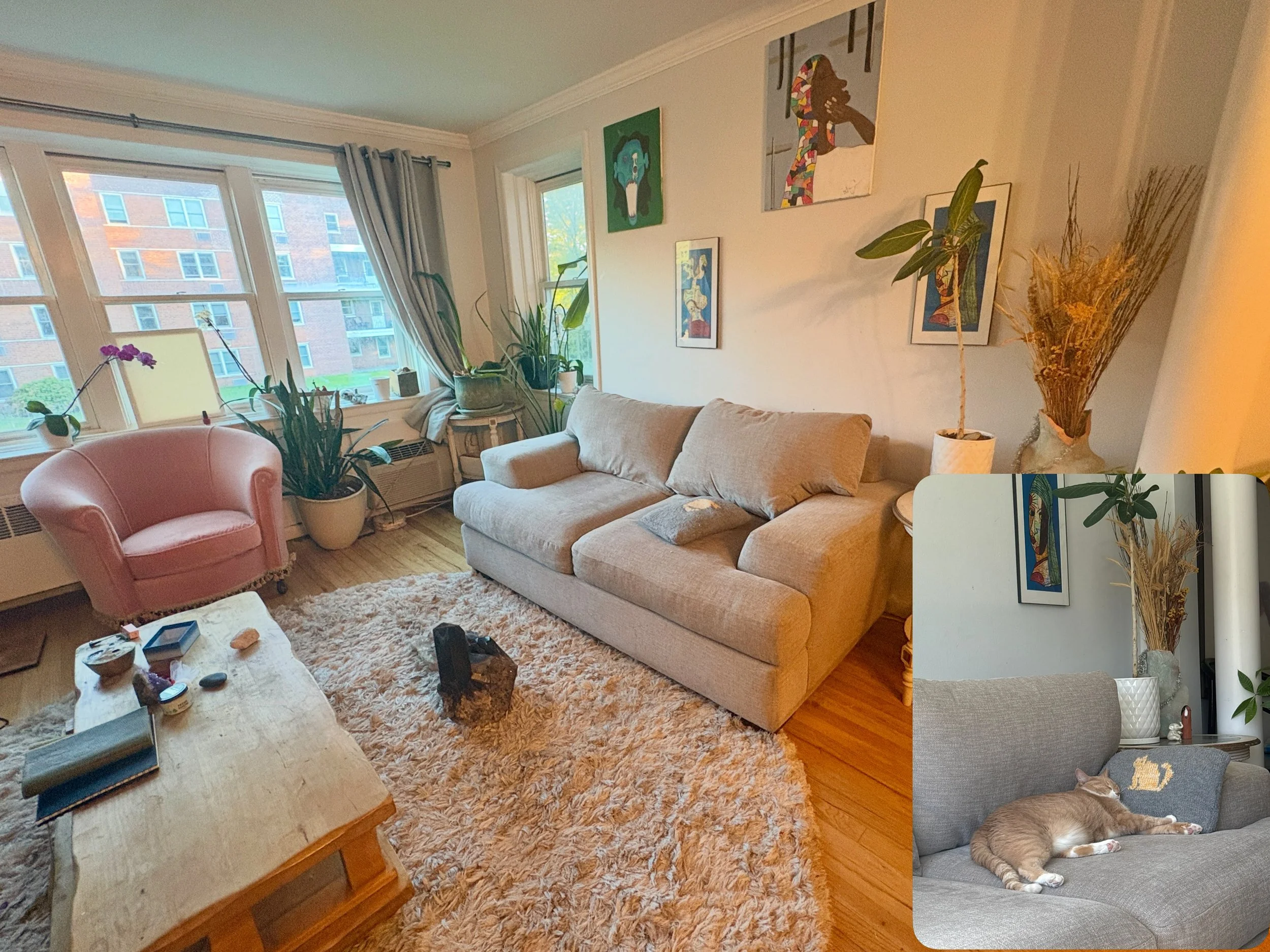I am ready! I think I got the perfect sofas for my favorite somatic techniques.  I got#reiki in this living room. It is the most#therapeutic room with my favorite objects I have created. My#cat feels the therapy. It&rsquo;s beautiful to see it&rsquo;