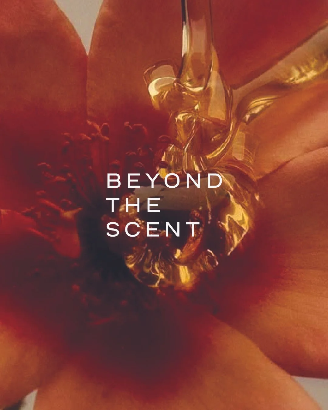 Beyond The Scent