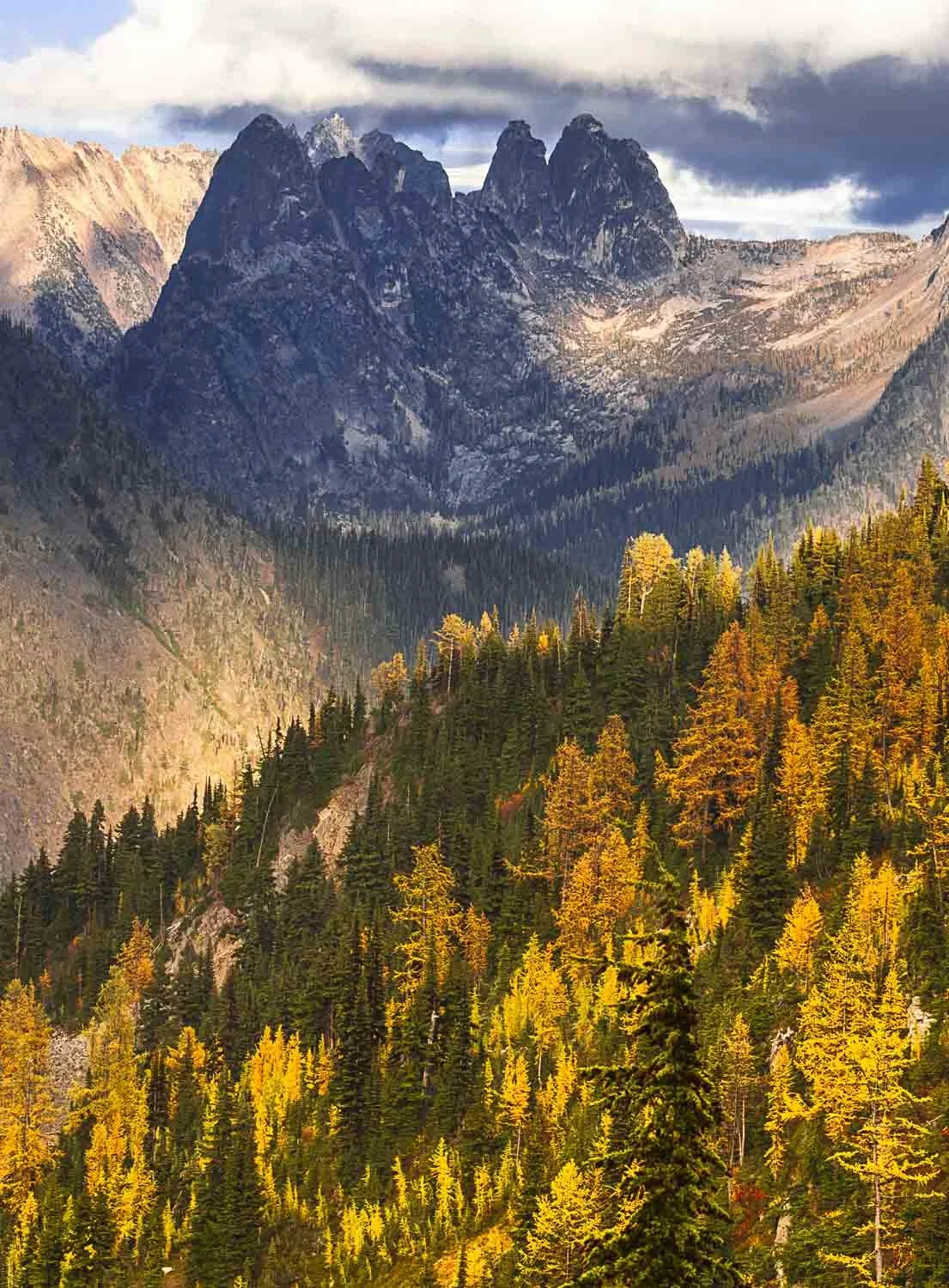 JohnDEarly Winter Spires.jpg