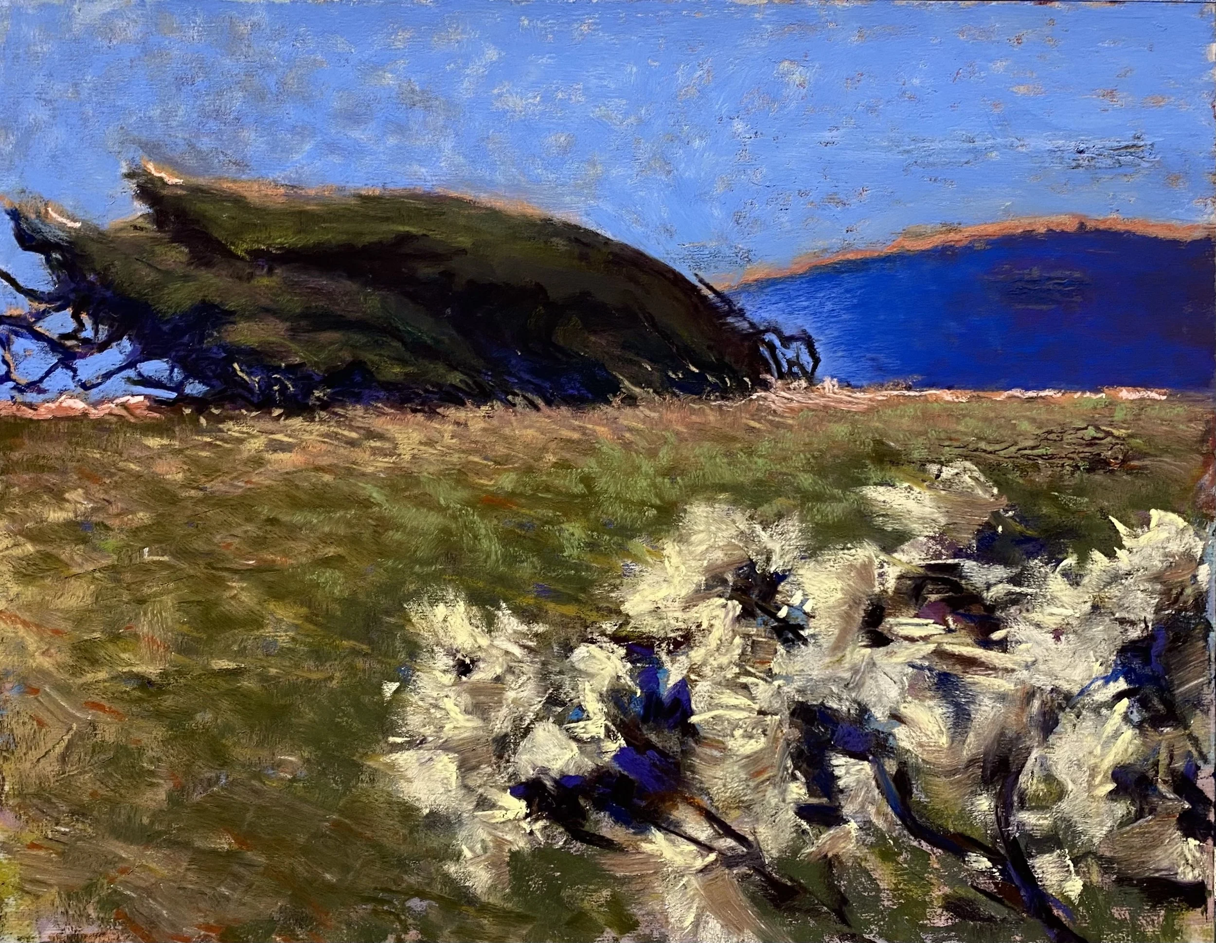 Harding-Windswept 11.jpeg