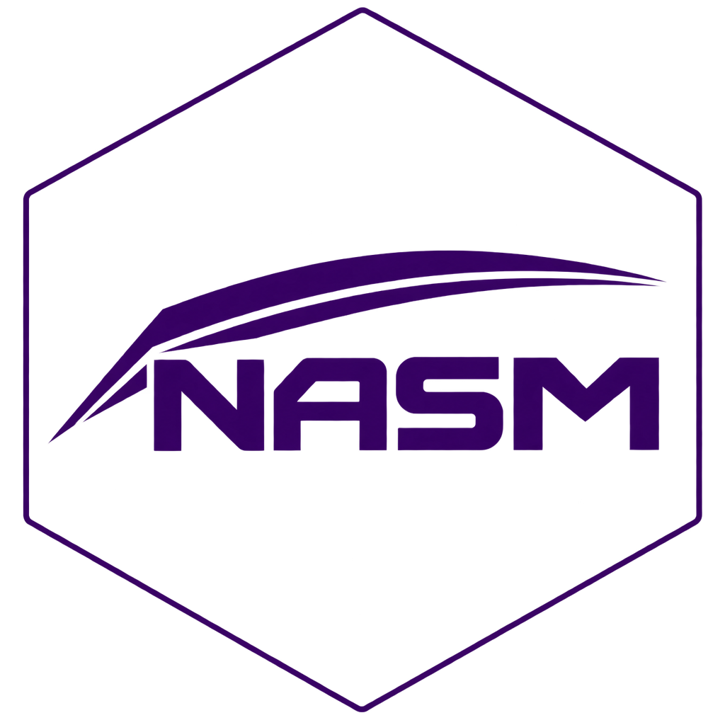 NASA logo with purple and blue stylized design