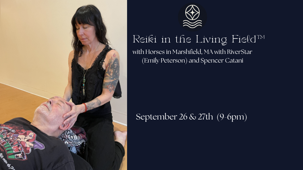 Reiki in the Living Field™ with Horses in Marshfield, MA with RiverStar (Emily Peterson) and Spencer Catani