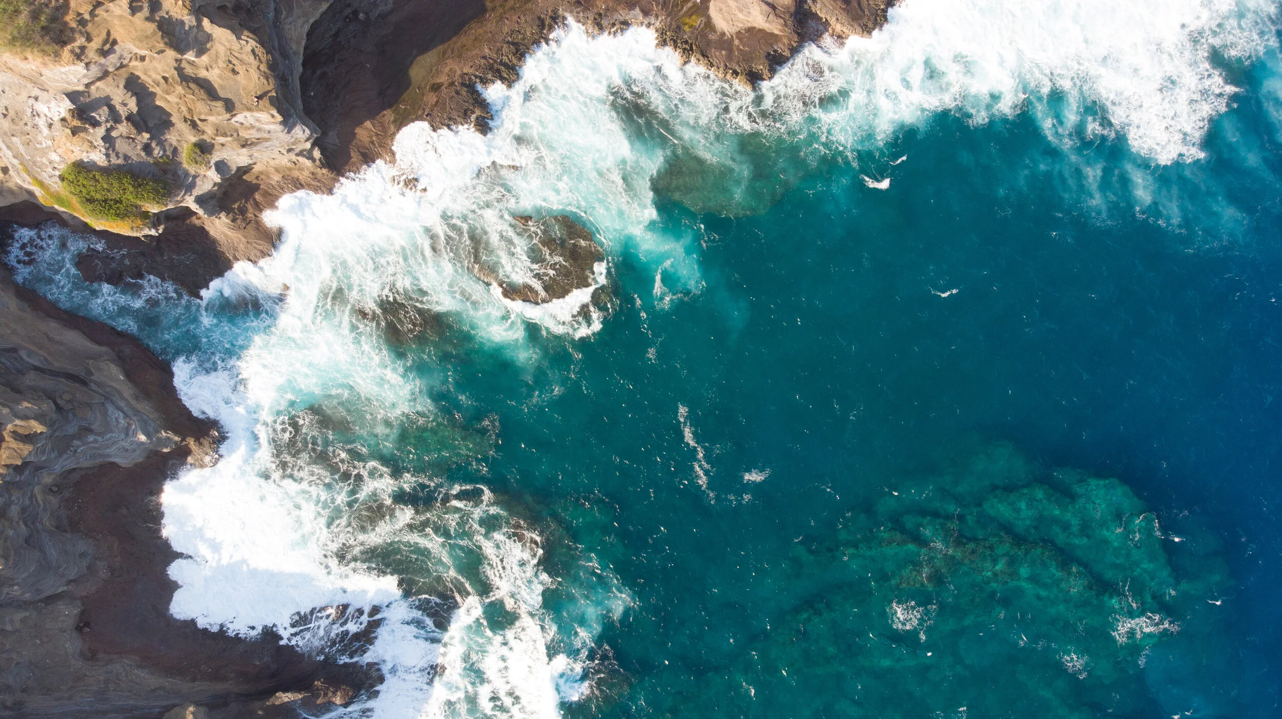 Calm And Collective Therapeutics