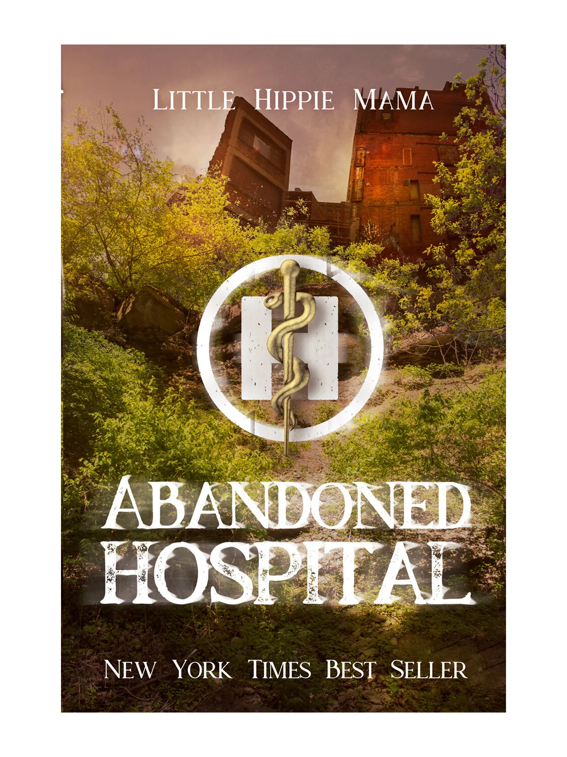 abandonedhospital2.jpg