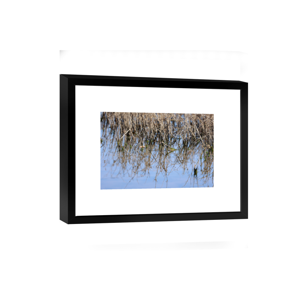 smartframe_rectangle2_3_0_0_5472_3648_0_false_ffffff_0_0.png