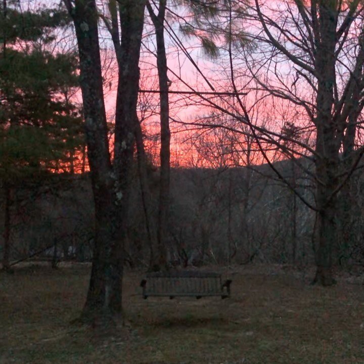 A short video of yesterday&rsquo;s final sunrise on the tree with the swing. Our ash trees (of which we still have so many) have been infected by the #emeraldashborerbeetle - which basically eats them away from the inside, making them at-risk for fal