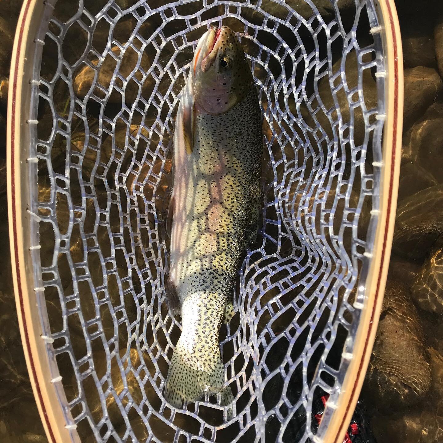 Wrapped my shirt around my head and caught some rainbows.