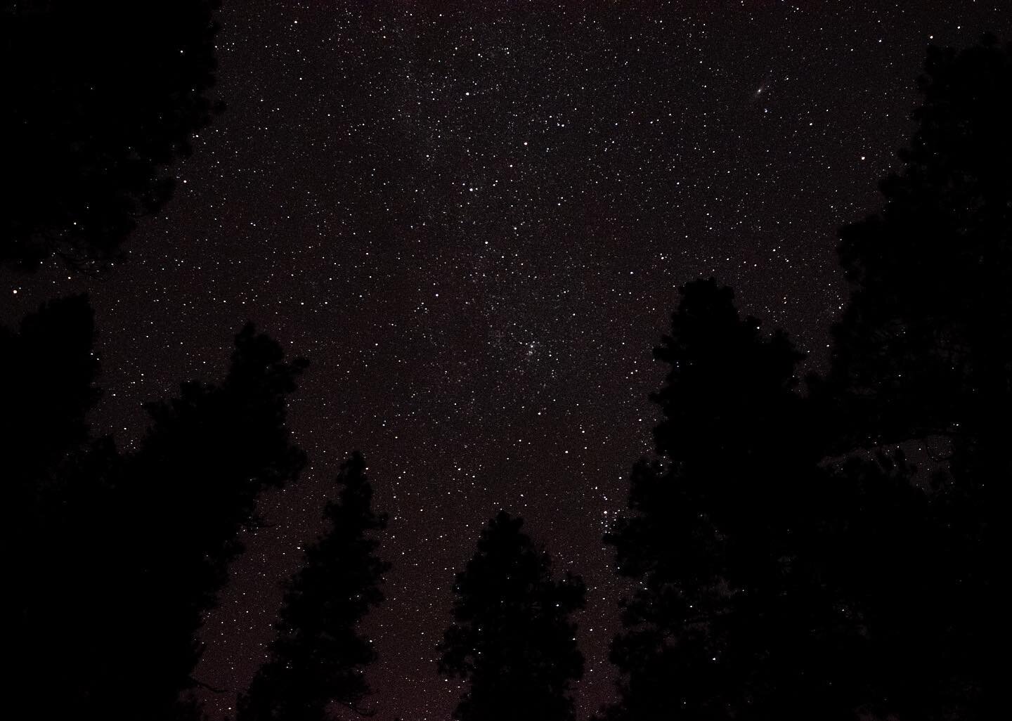 Sometimes you just have to lay down in the woods with a camera and hope a bear doesn&rsquo;t find you.