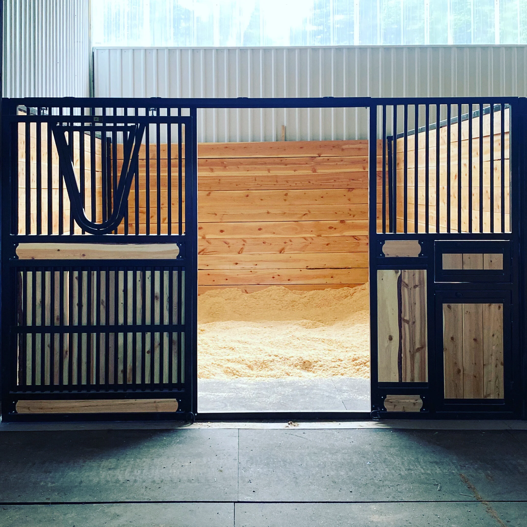 Tailored Equine Training
