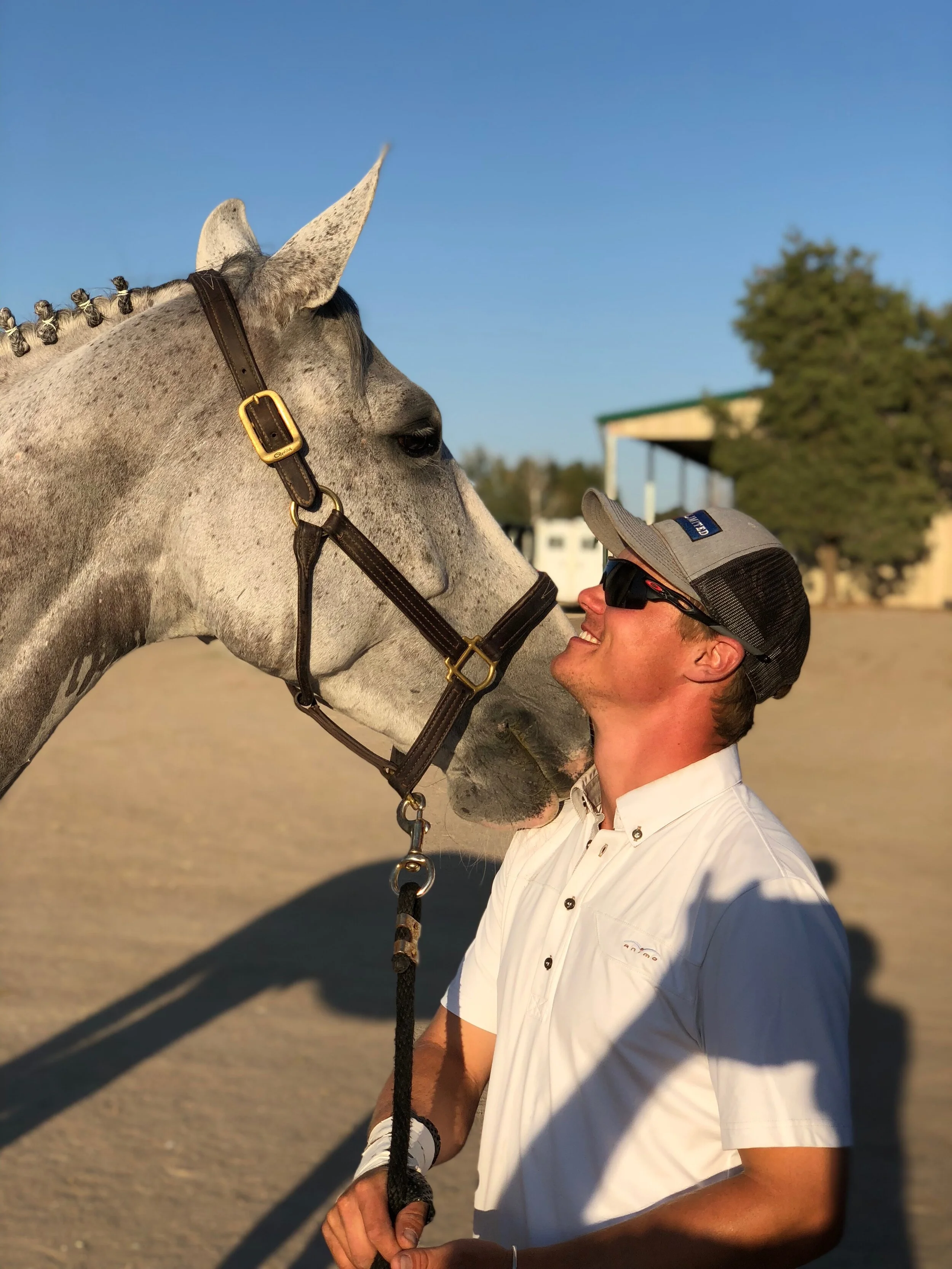 Tailored Equine Training