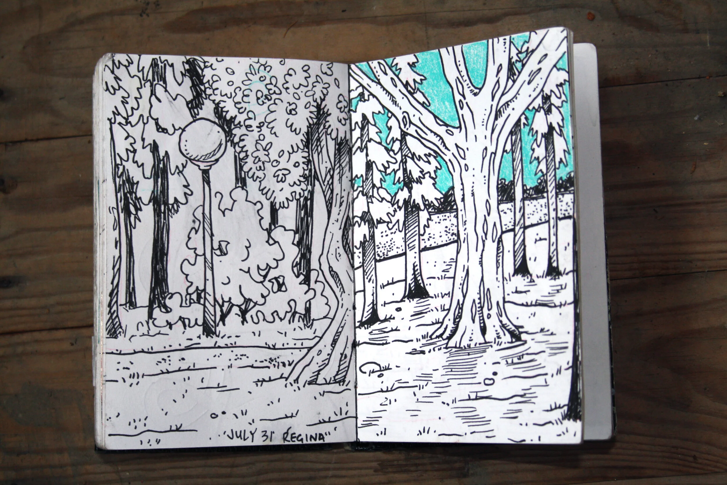 The clearest way into the Universe is through a forest wilderness.