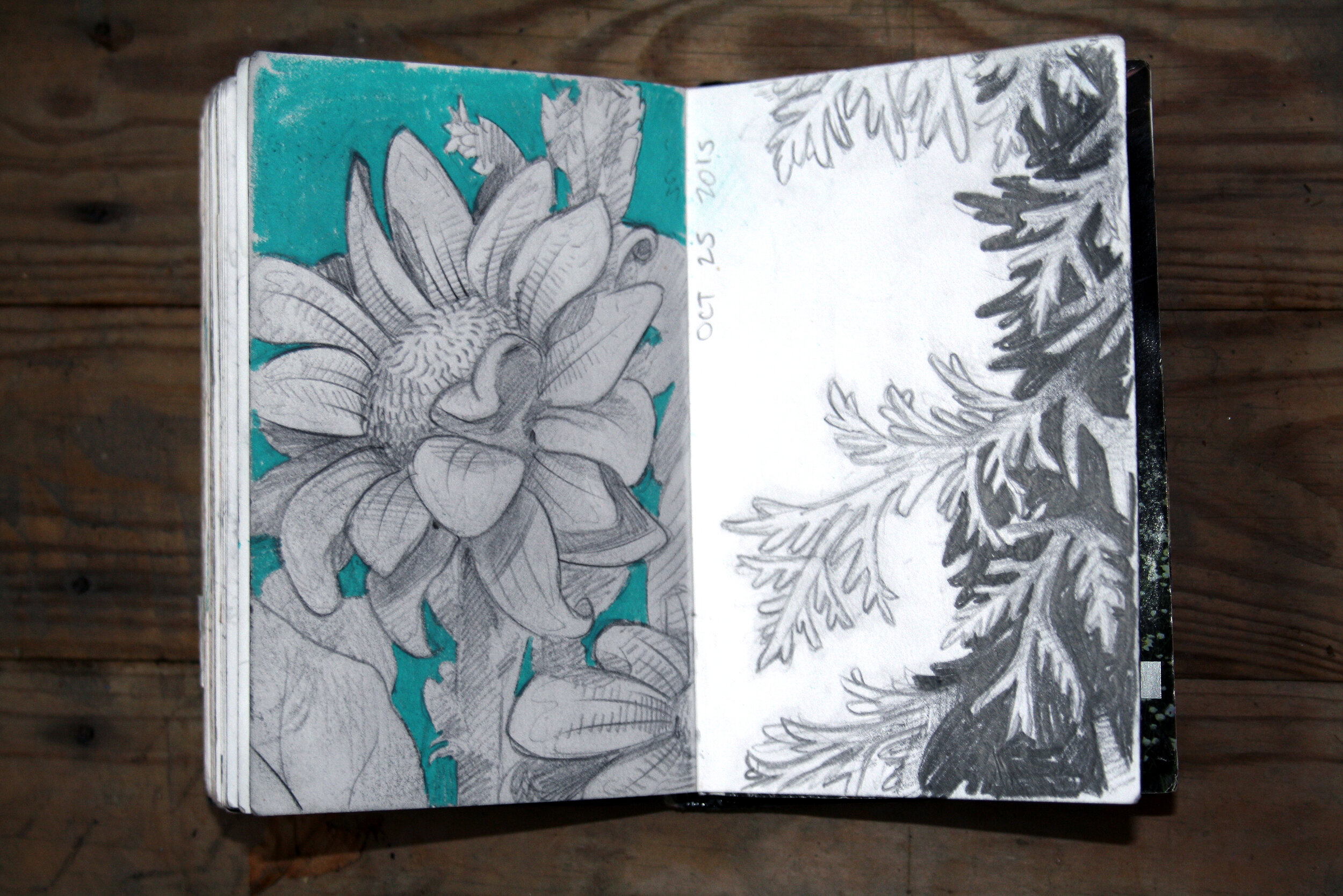 Nature's first green is gold, Her hardest hue to hold.