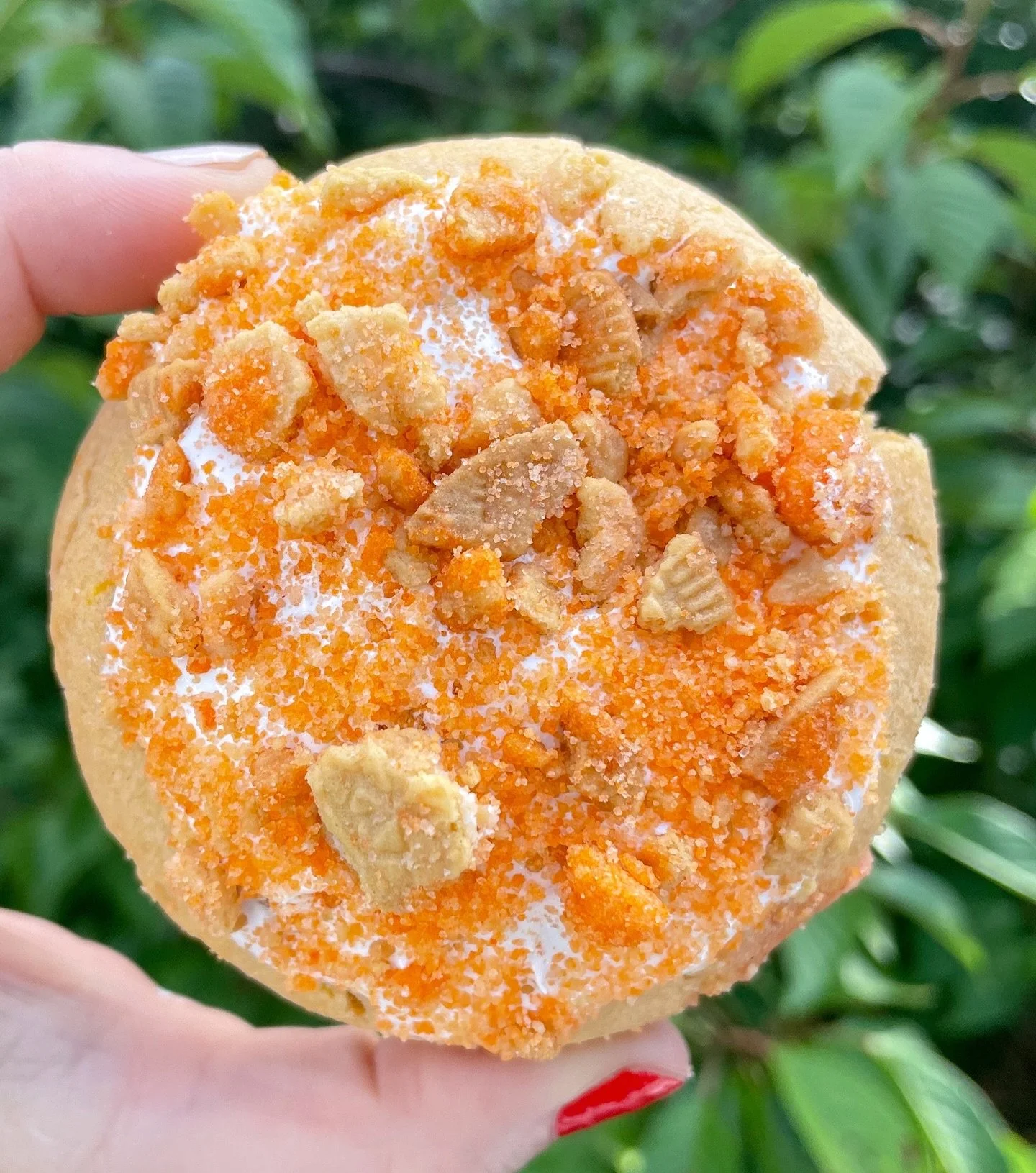 Our orange creamsicle cookie tastes just like summer should! Have you ordered your July cookies yet?? 🍊🍪
.
.
.
.
.
 #loudouncounty #leesburgva #washingtondc #loudouncountyva #leesburg #loudounva #dmv #mydccool #dcfoodie #exploredmv #ashburn #novafo