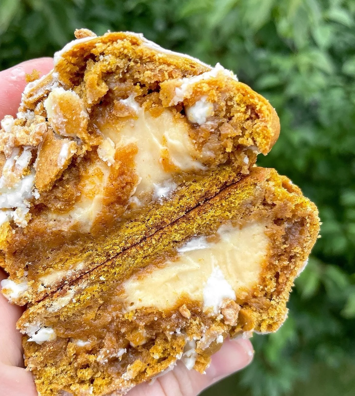 Do you like the pumpkin scone from Starbucks?? Our Pumpkin Cheesecake Scon-kie will make you forget all about theirs! πππ
This delicious treat is crossed between a pumpkin cookie and a scone, is stuffed with a creamy pumpkin cheesecake filling, a