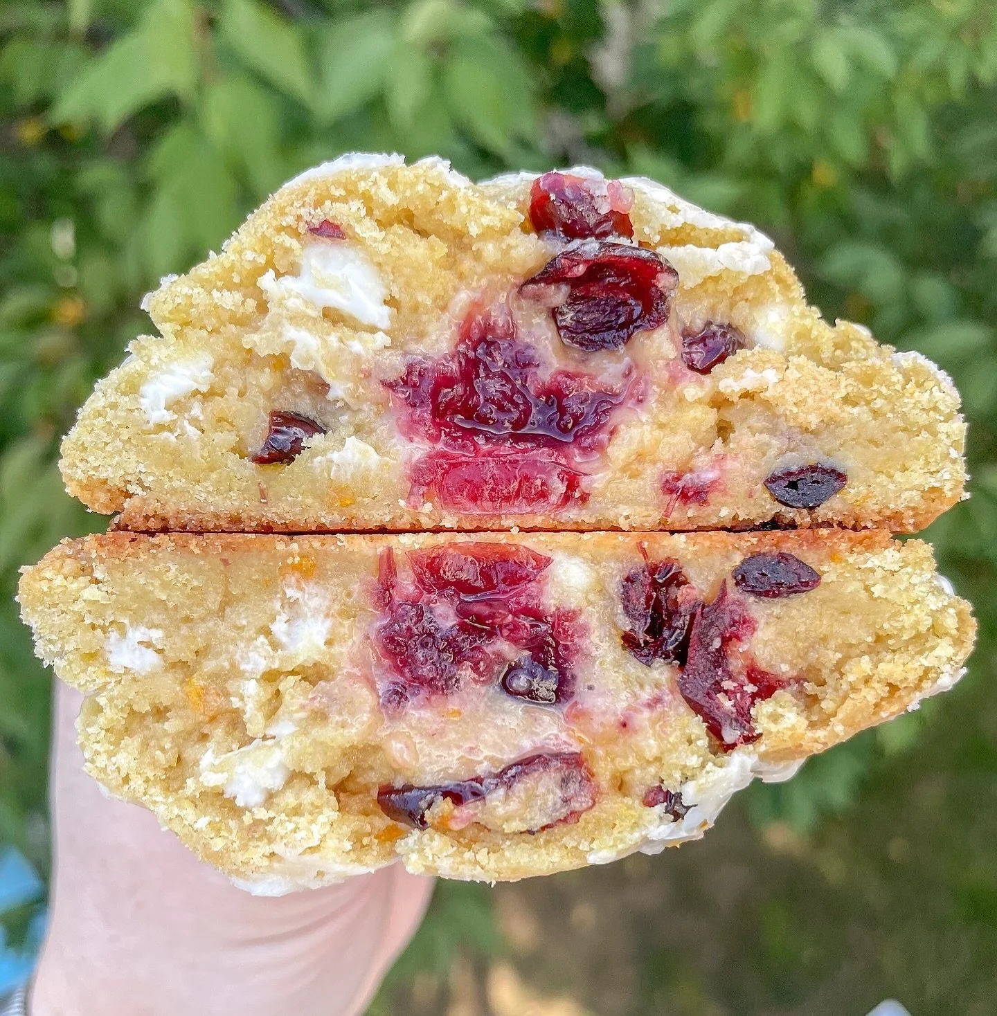 Holiday flavors are coming!!! This November cookie is one of our all time favorites - Cranberry Orange White Chocolate! 
This orange sugar cookie is loaded with dried cranberries, orange zest, and white chocolate chips, then it’s stuffed with
