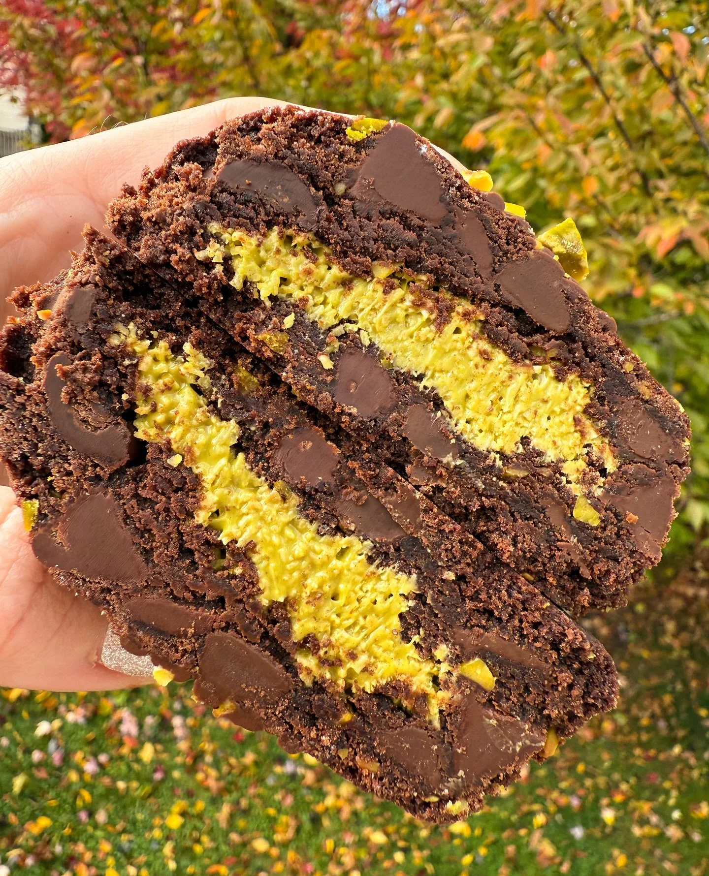 🚨NEW FLAVOR ALERT!🚨 

Say hello to Dubai Chocolate - November&rsquo;s newest cookie 💚

It&rsquo;s rich, gooey chocolate dough stuffed with sweet pistachio cream and crunchy kataifi (that&rsquo;s crispy shredded phyllo dough- trust us, it&rsquo;s m