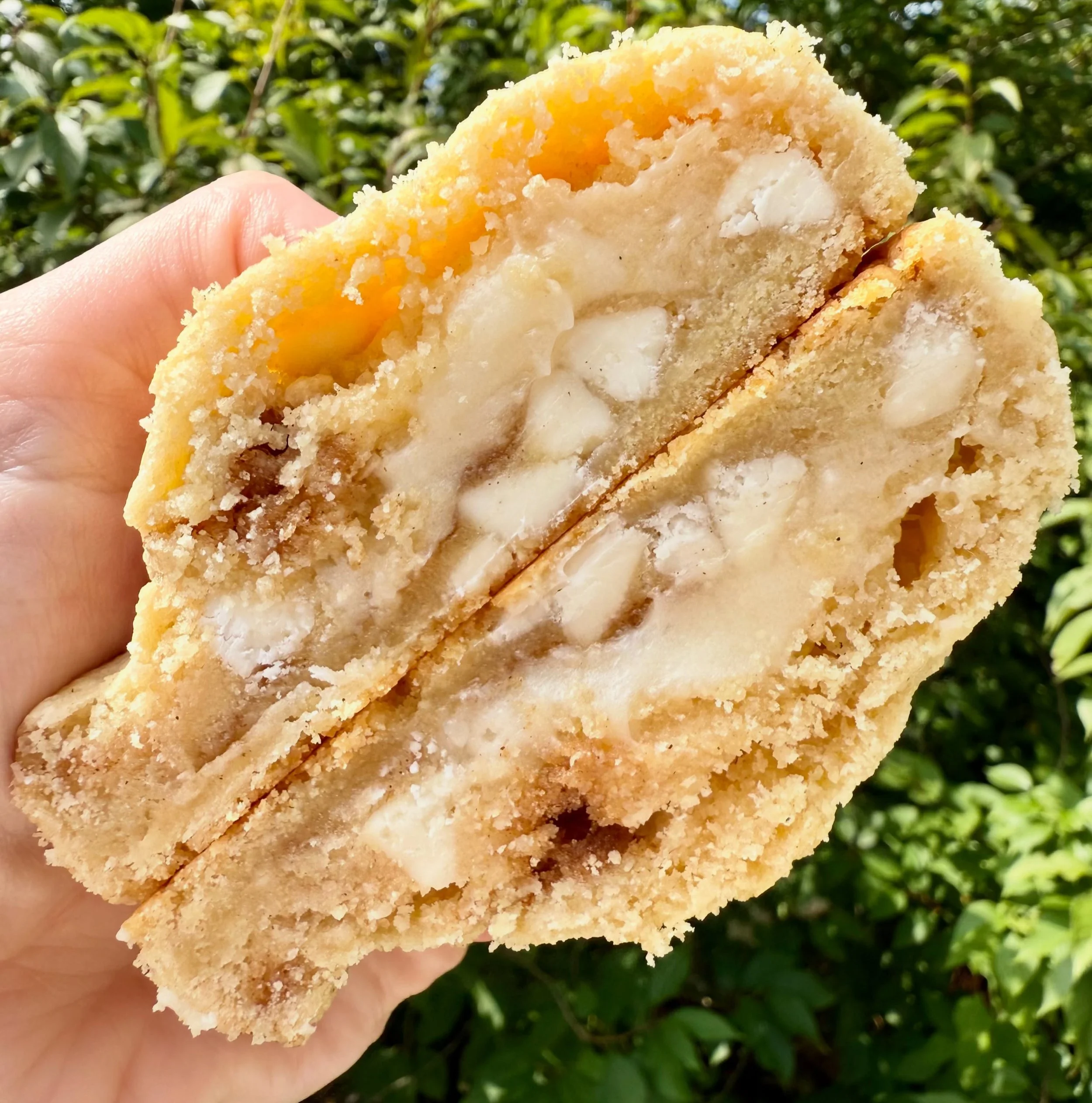 NEW FLAVOR ALERT!!! Meet our Cinnamon Bun Cookie! 🍪✨

A soft, buttery cinnamon cookie packed with cinnamon swirl chunks and creamy white chocolate chips, stuffed with a gooey cream cheese frosting center, and finished with a sweet vanilla glaze. Bas