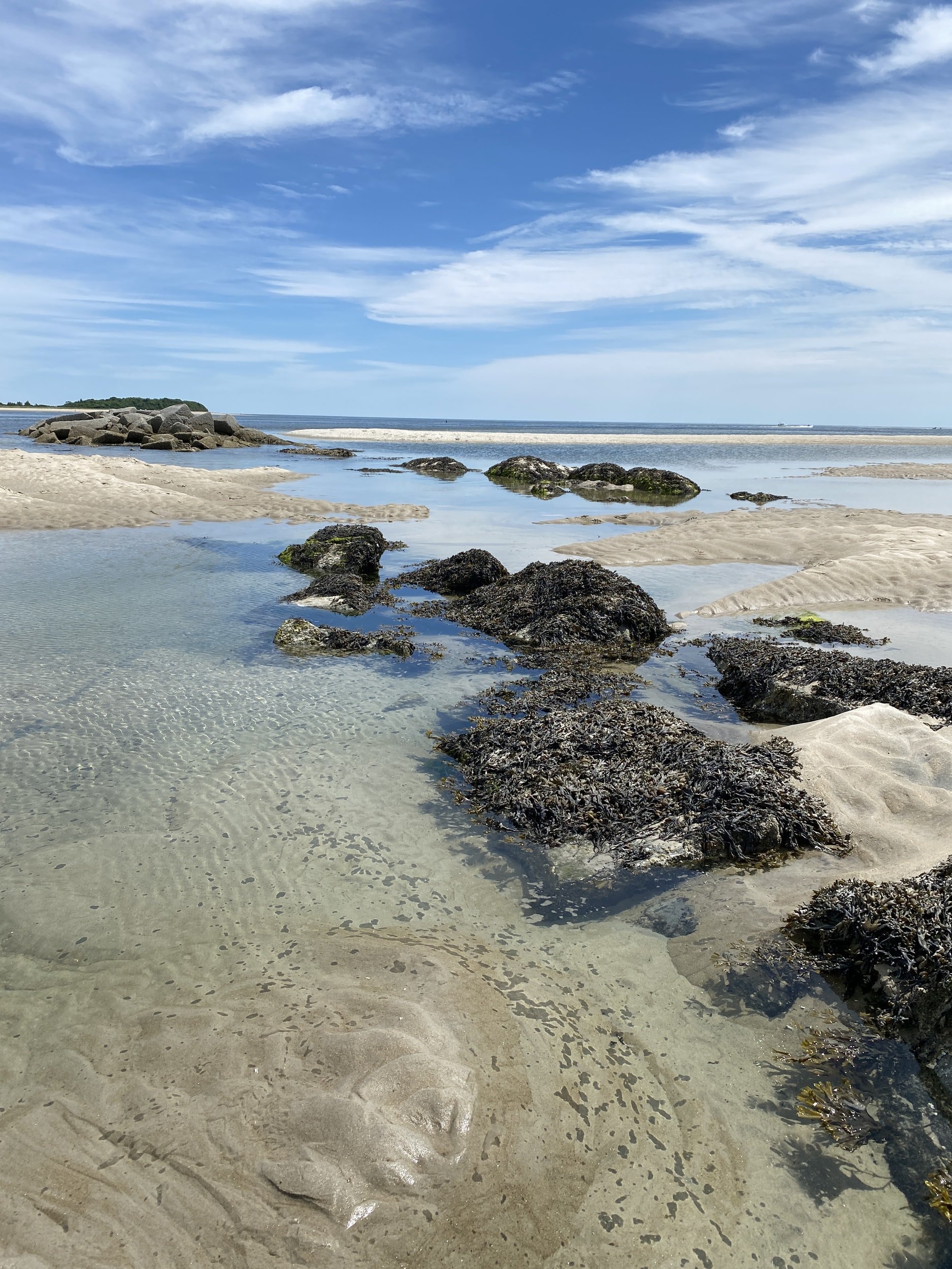 unsplash-image-td6modmM8j0.jpg