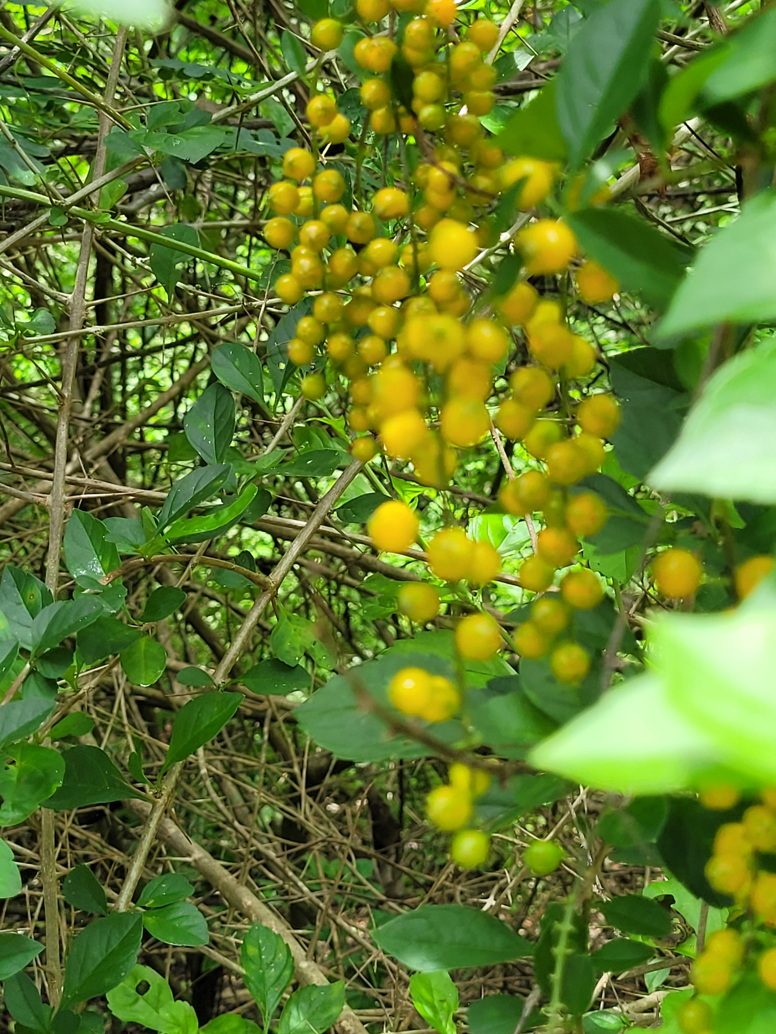 20210705_123820.jpg