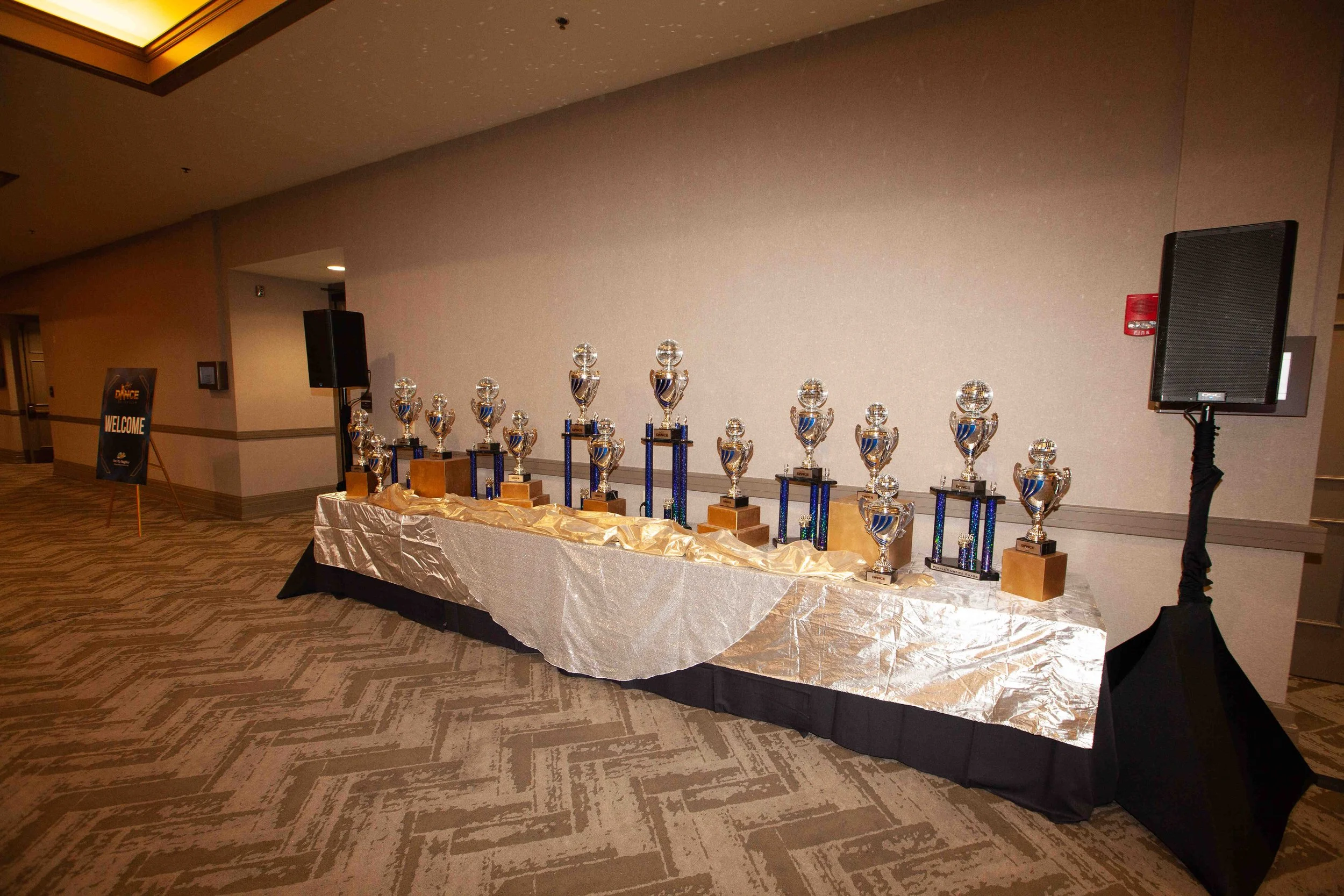 _MG_8924.JPG