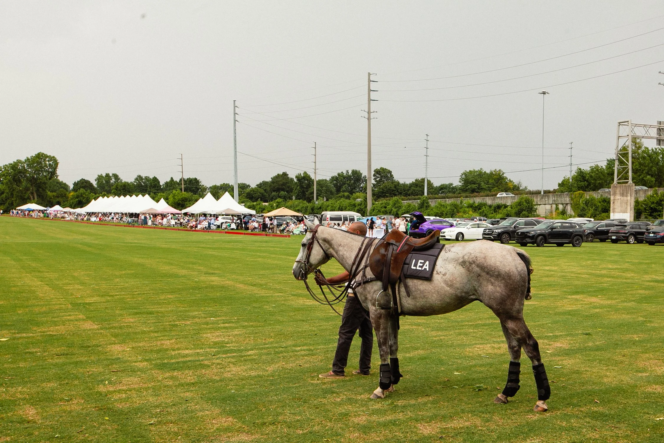 _MG_5528.jpg