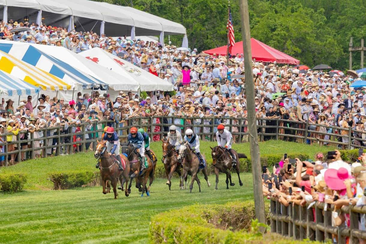 Steeplechase-grandstand-crowd.JPG