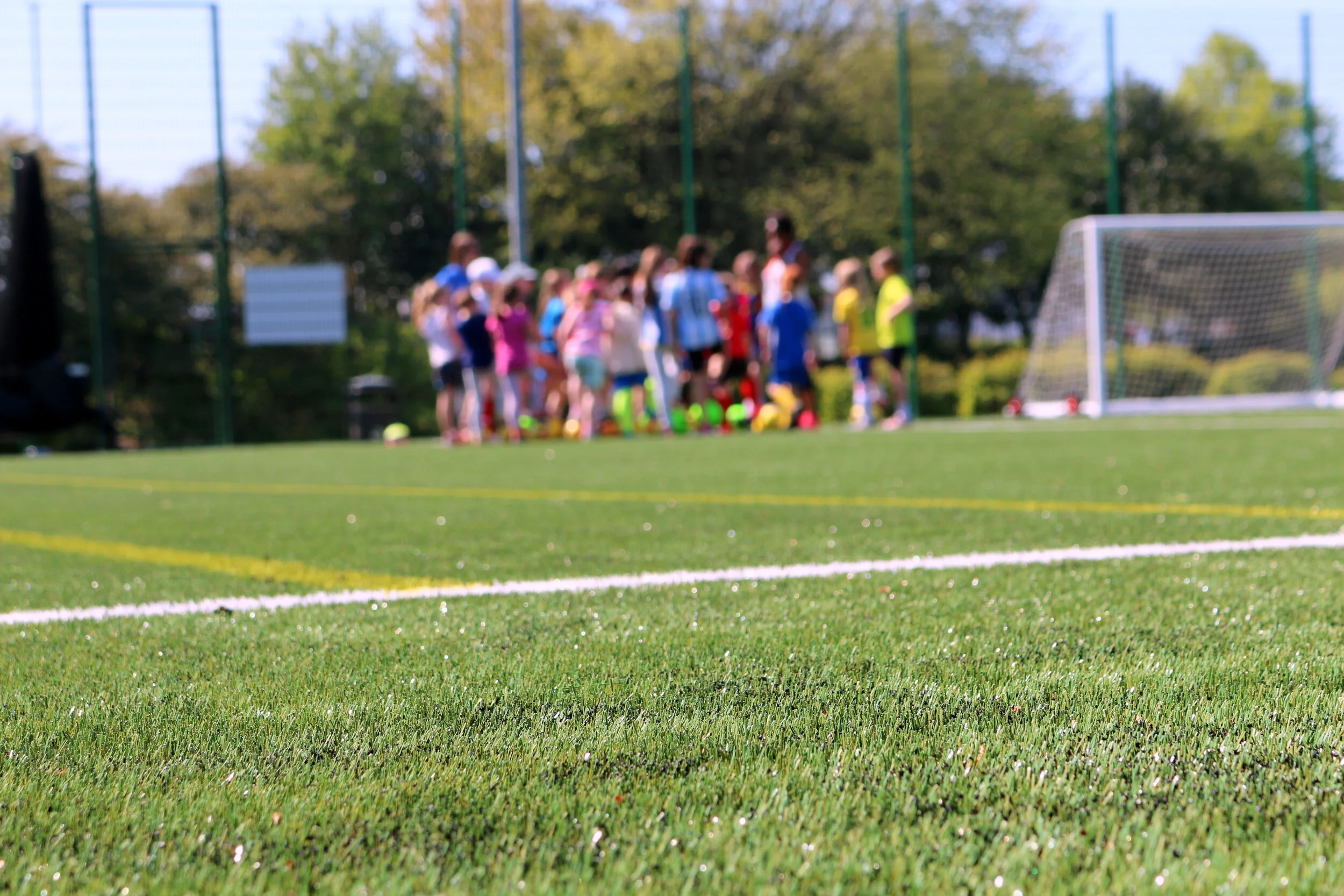 Academy Group Skills Training - 4 pack - $70