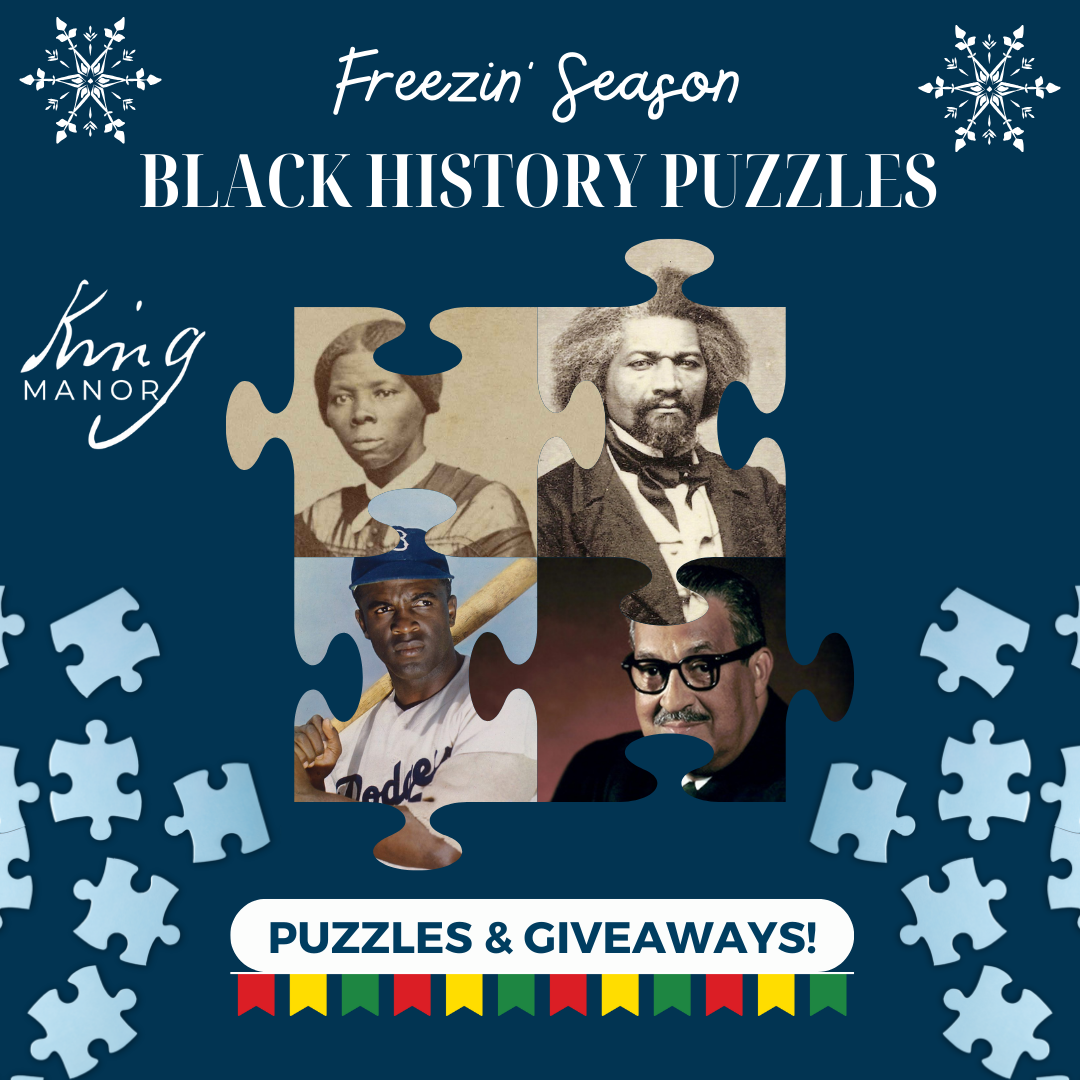 Freezin' Season: Black History Puzzles