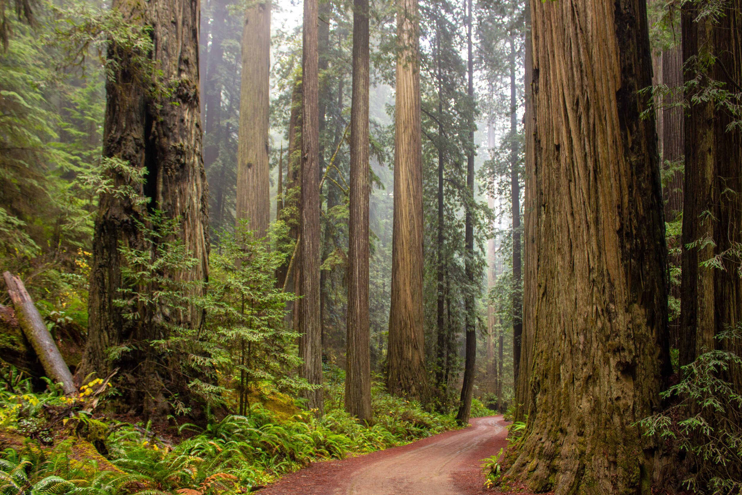 Bay Area Hike Search & Calendar
