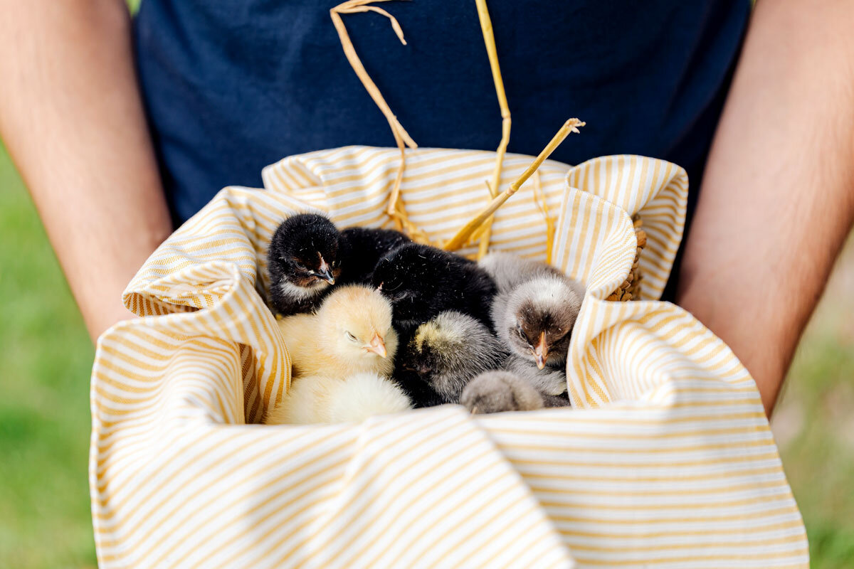 Celebrate Spring with Easter Specials 🐥