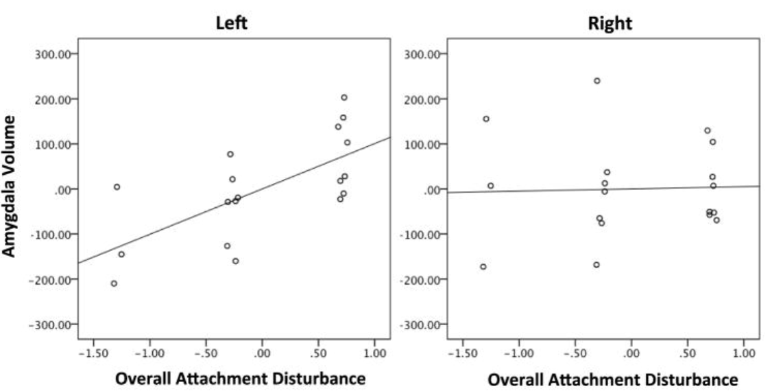 Amygdala volume was normalized and adjusted for total grey matter volume and race. Left (r = .679, p = .004) but not right (r = −.048, p = .860) amygdala volume was related to overall attachment disturbance (Lyons-Ruth, 2016).