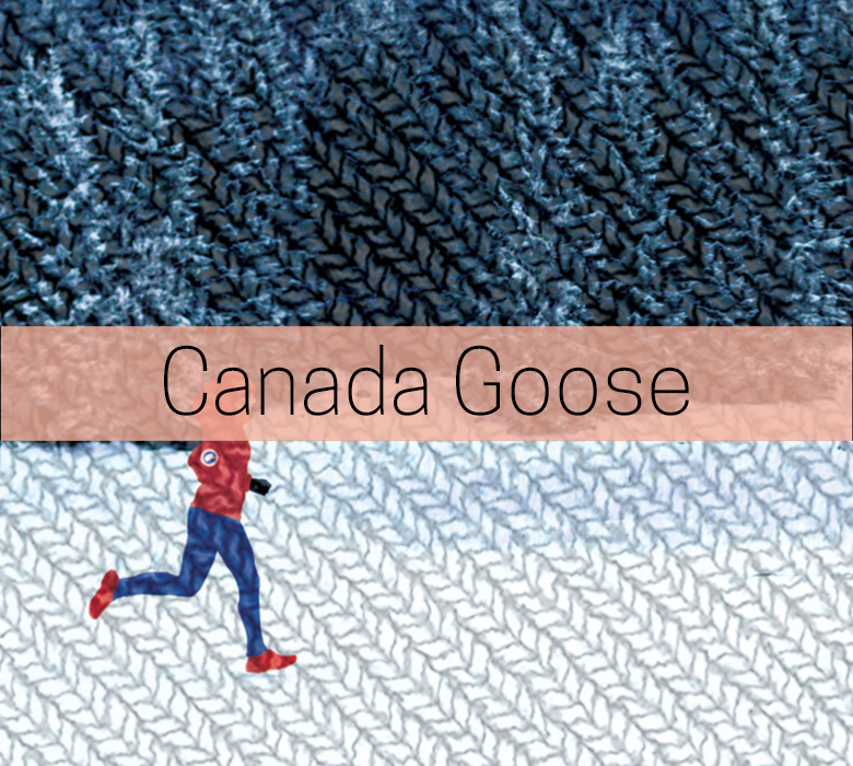 Canada Goose