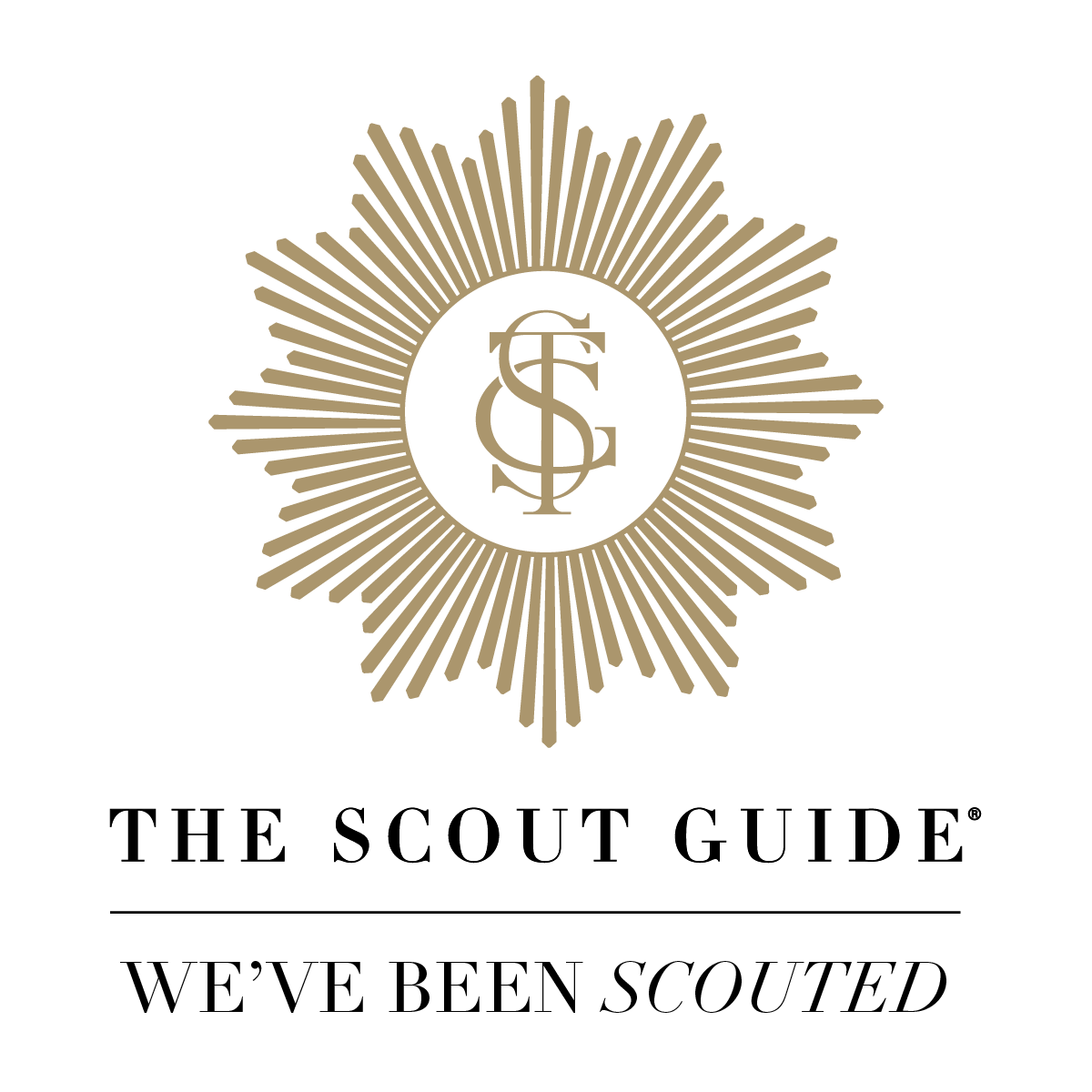 Golden police badge with a starburst design and initials 'FSC' in the center, on a black background.