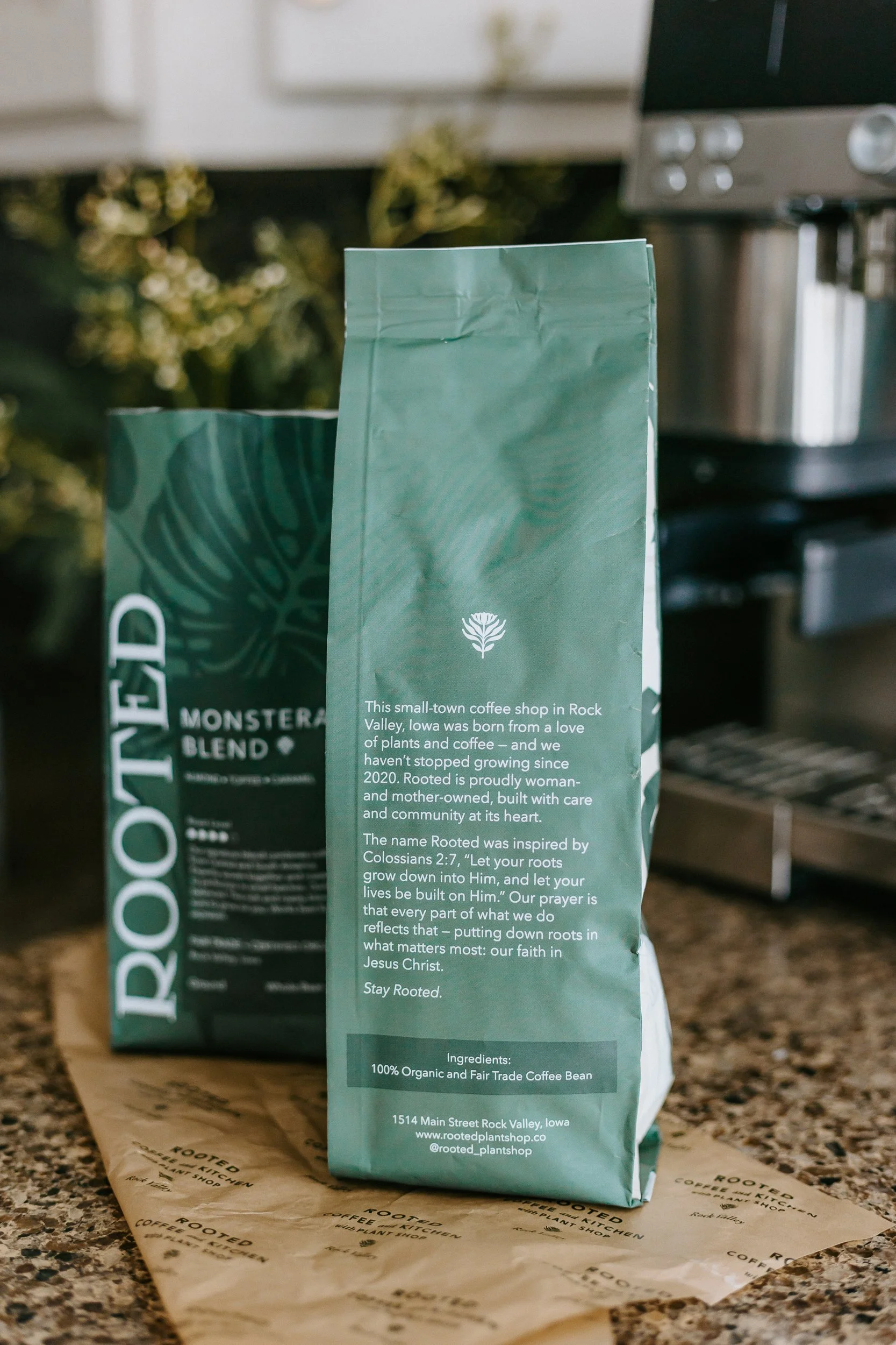 rooted-coffee-plant-shop-rock-valley-4413.jpg