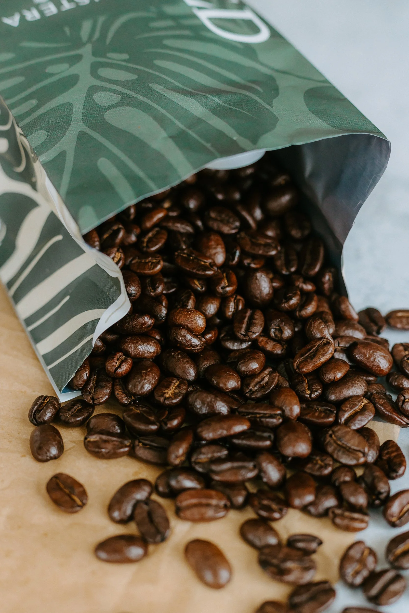 rooted-coffee-plant-shop-rock-valley-4200.jpg
