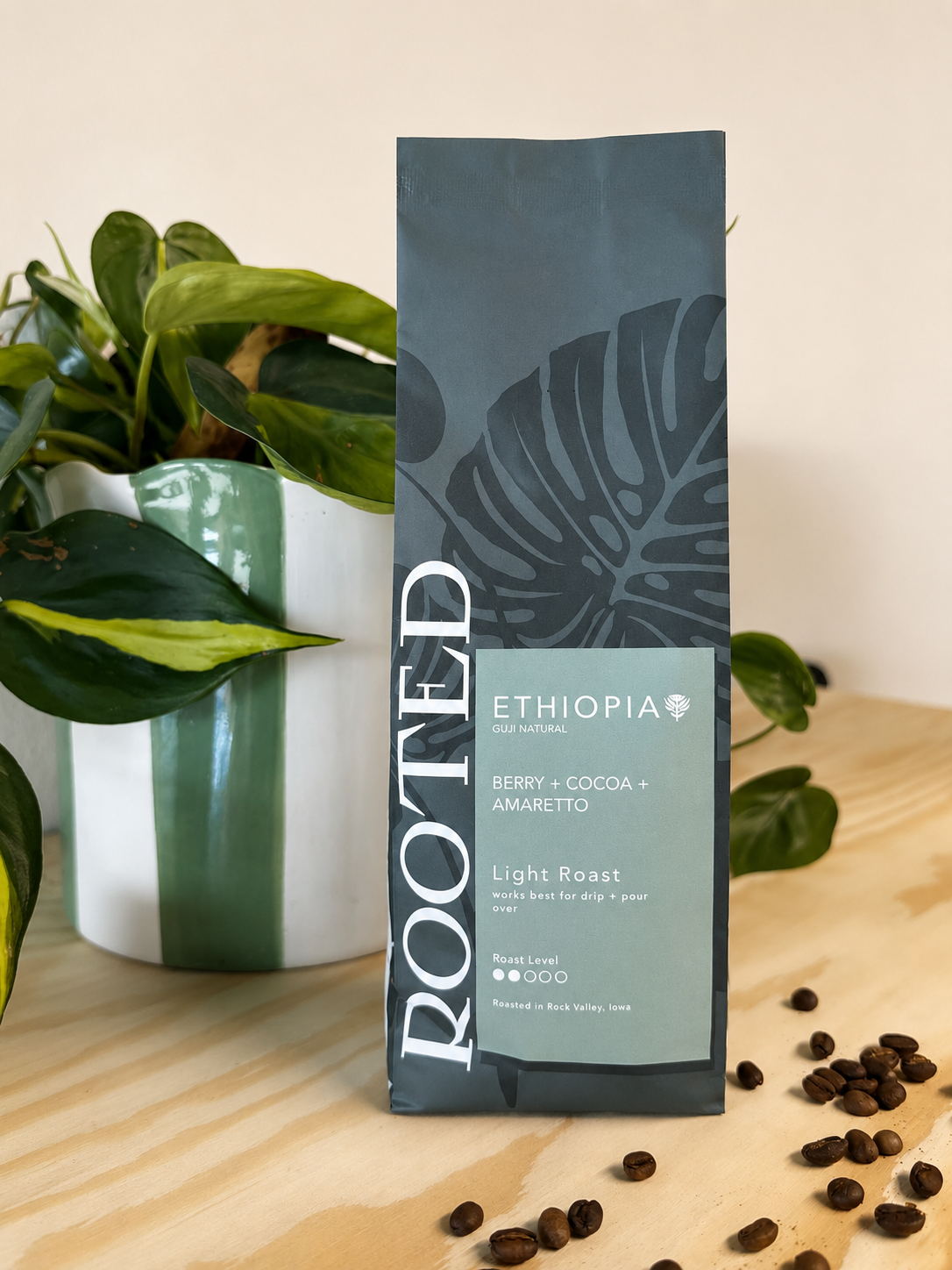Ethiopia | Light Roast