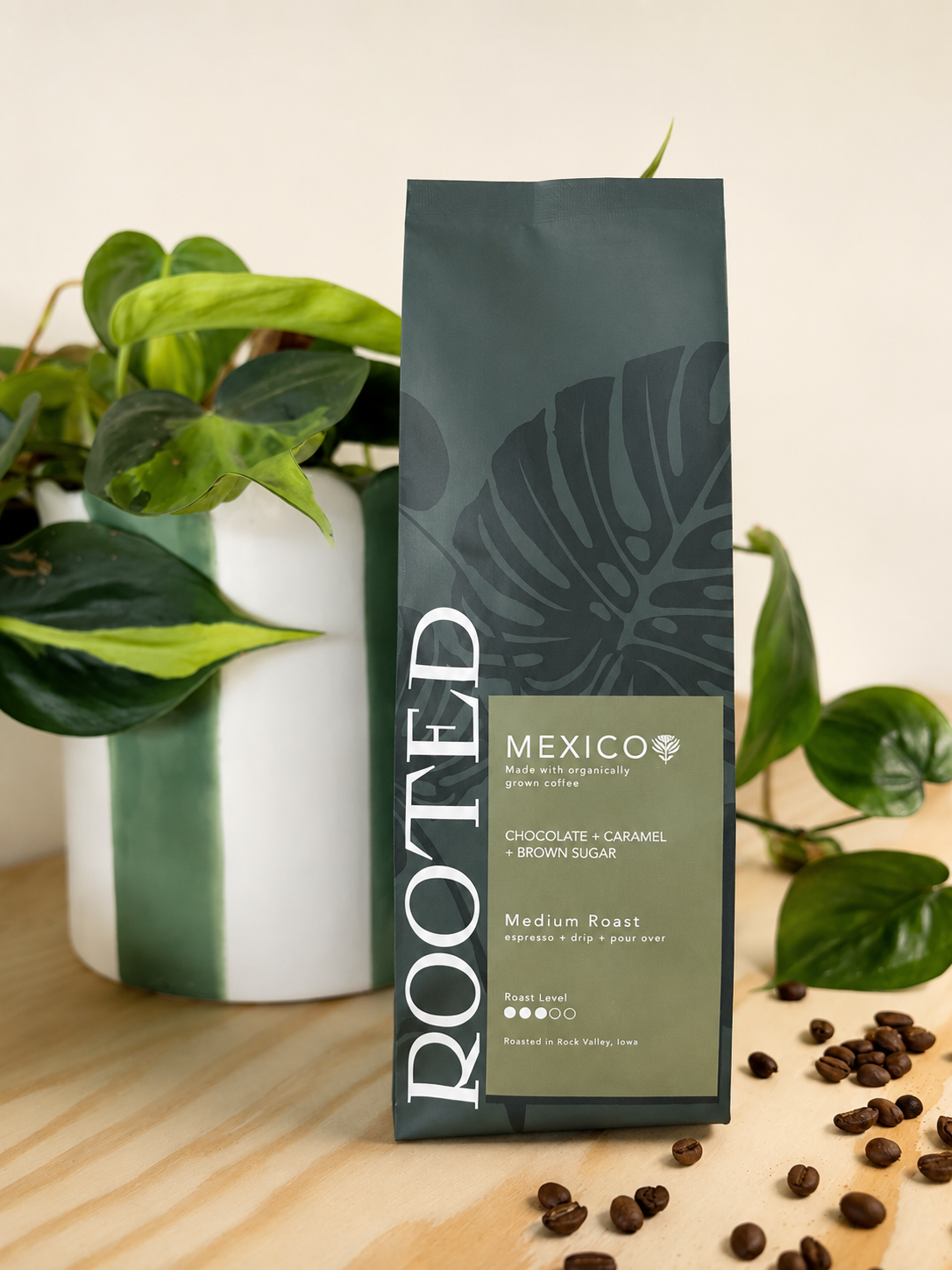 Mexico | Medium Roast