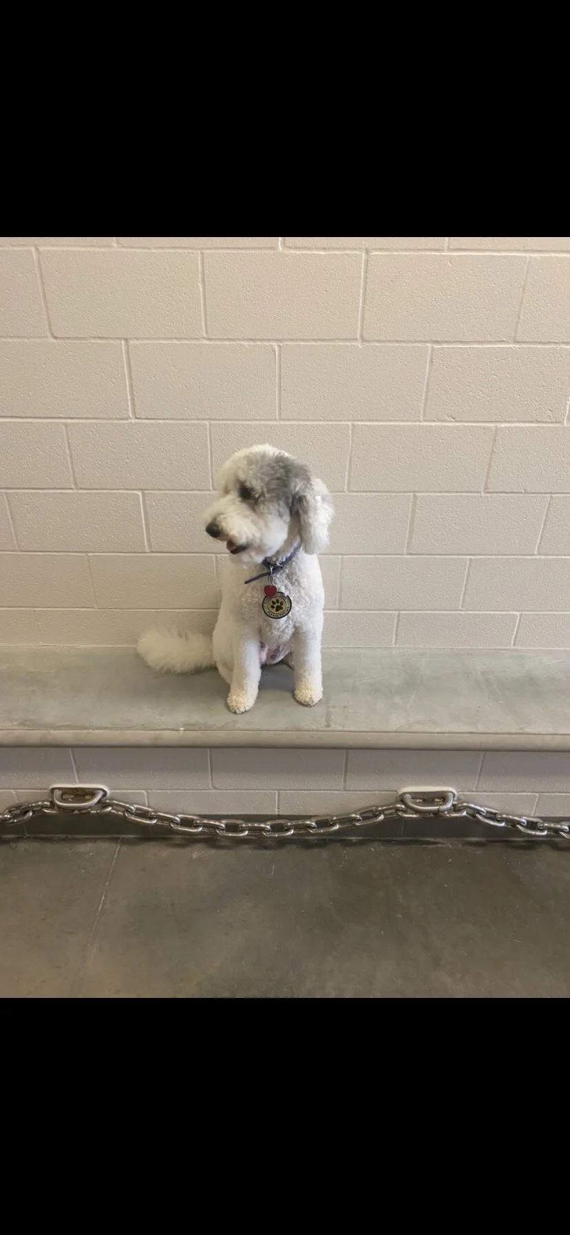 Oh No! Bisbee Goes to Jail!