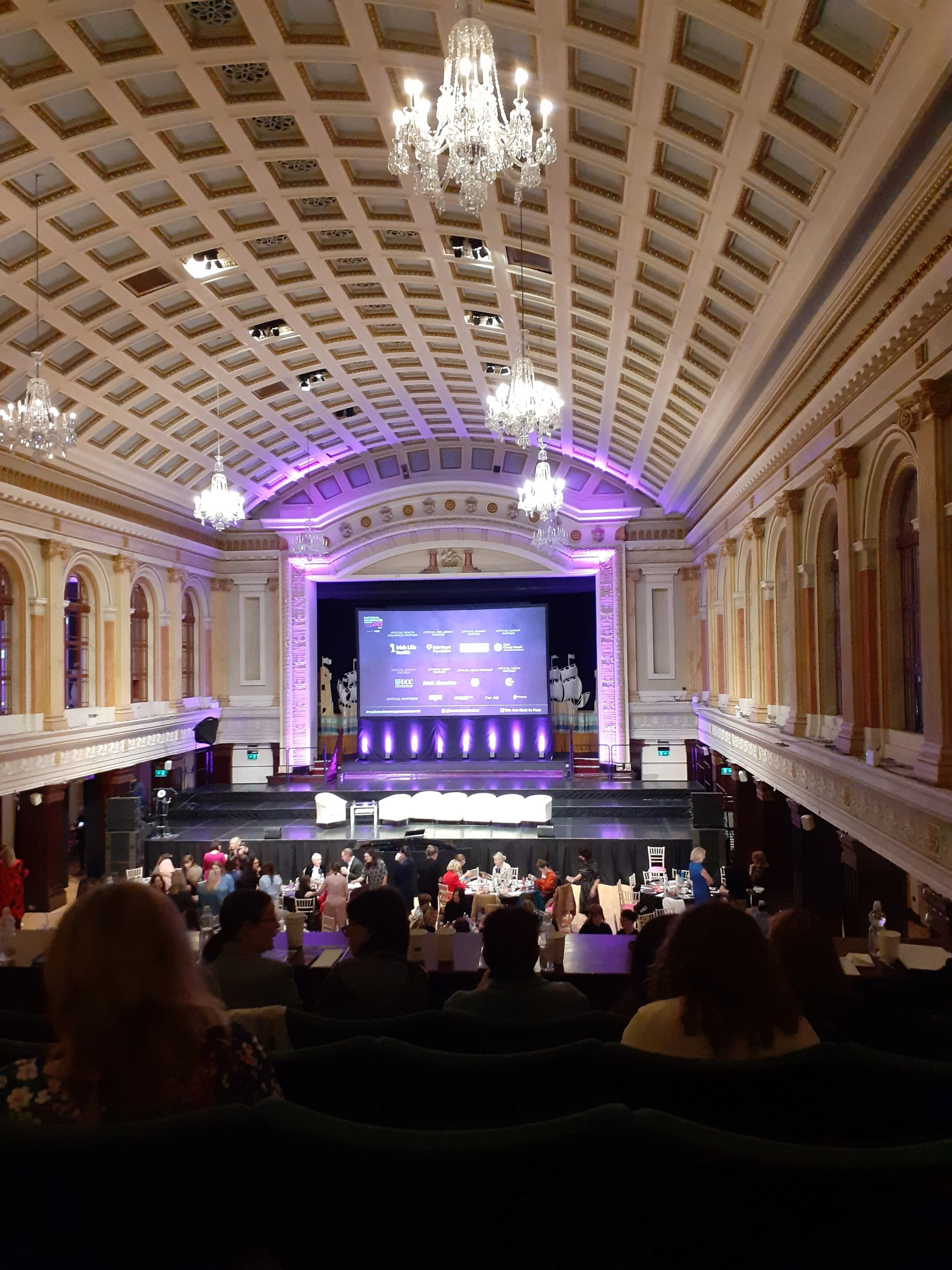 Conference Report National Menopause Summit Cork — The Menopause and Mental Health Blog