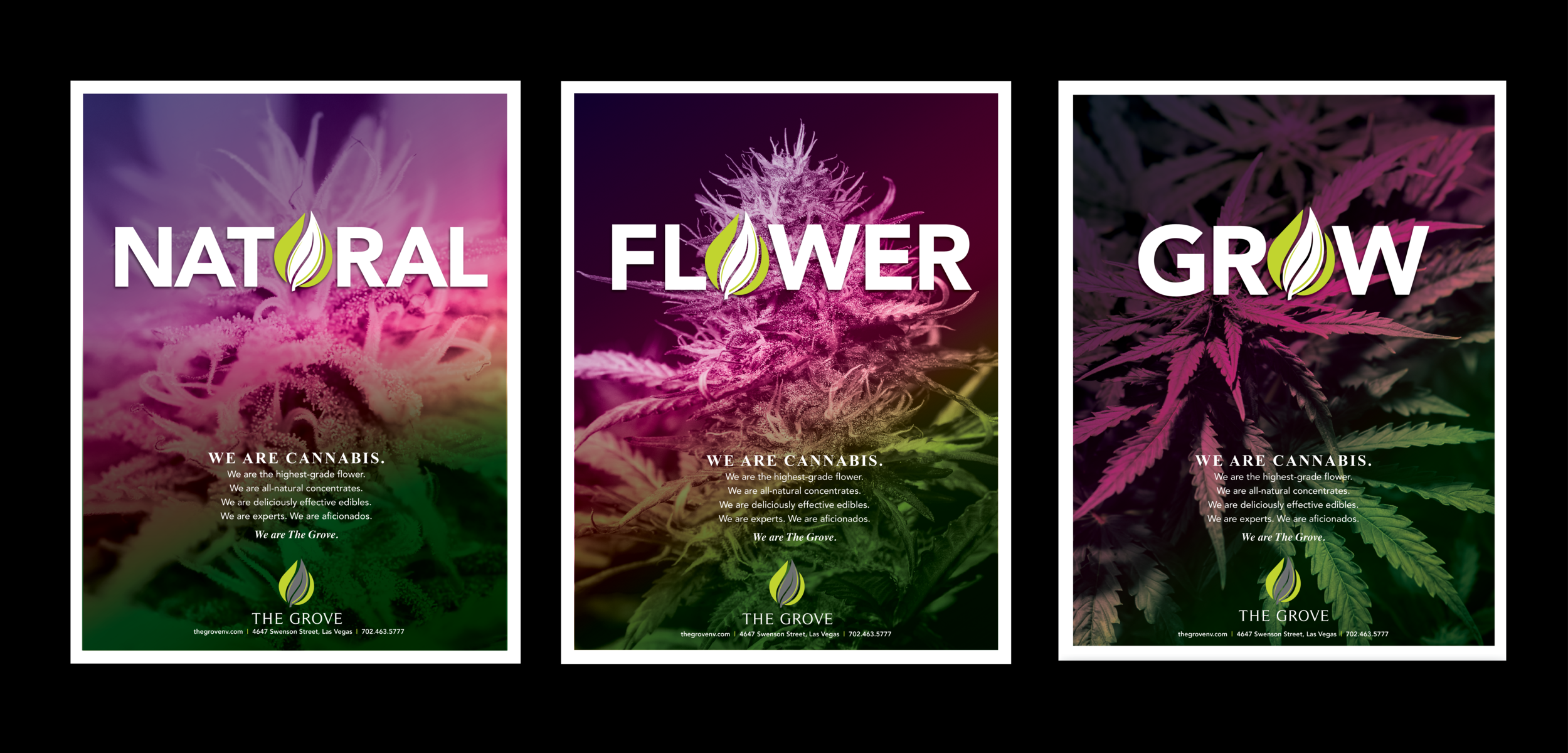 The Grove Dispensary Ad Campaign