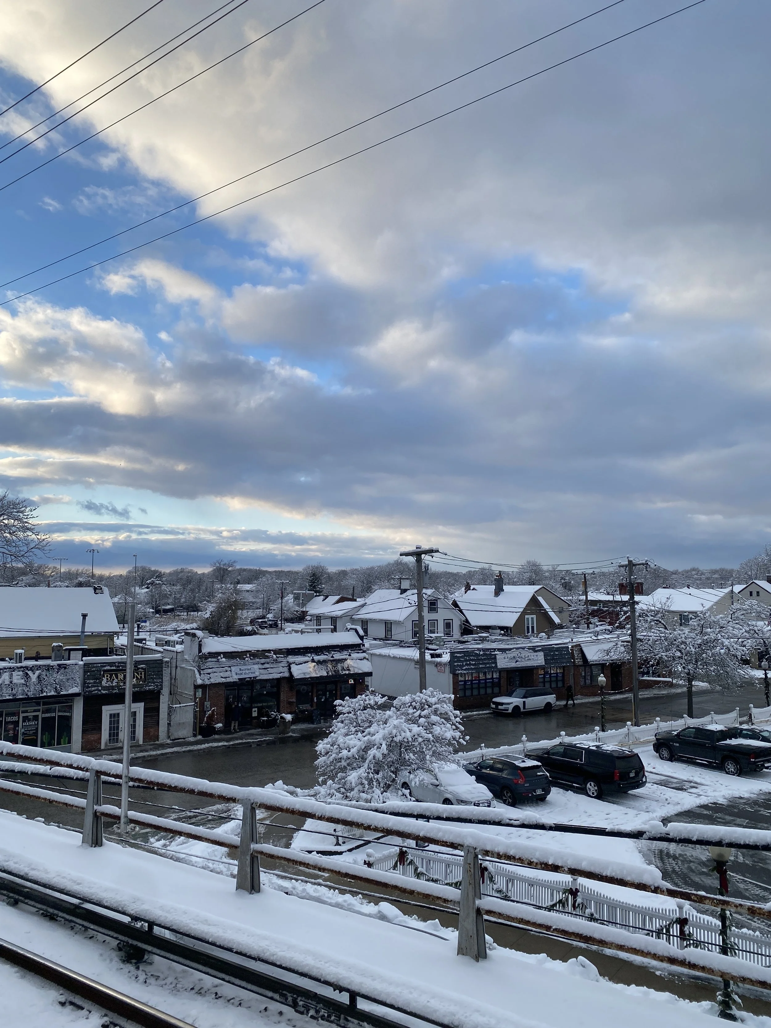 Sometimes It’s Roses