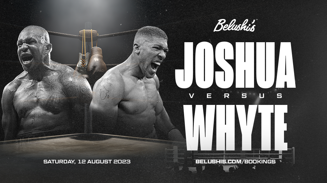 AWR312 | Joshua v Whyte_App Panel.png