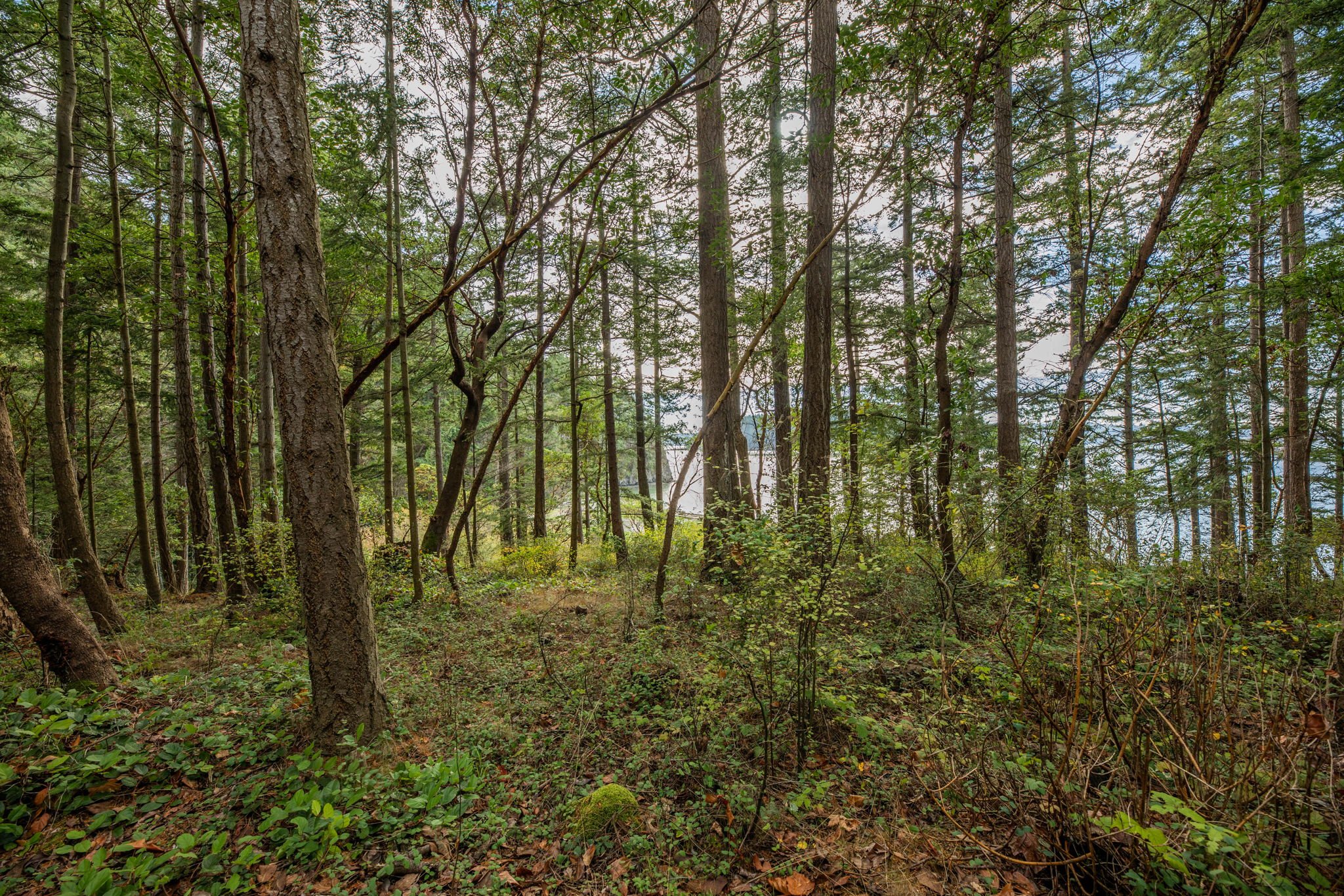 555 Klamath 4-web-or-mls-1V5A7895.jpg