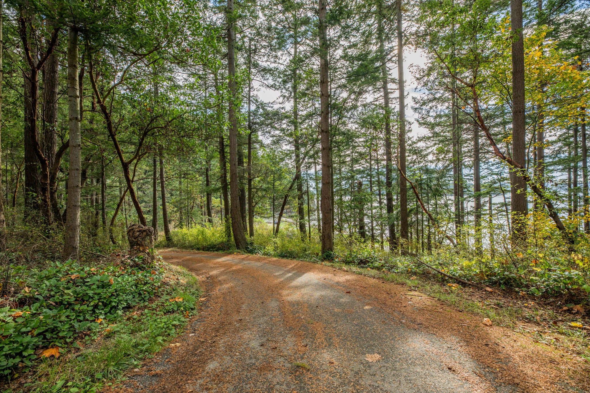555 Klamath 5-web-or-mls-1V5A7897.jpg