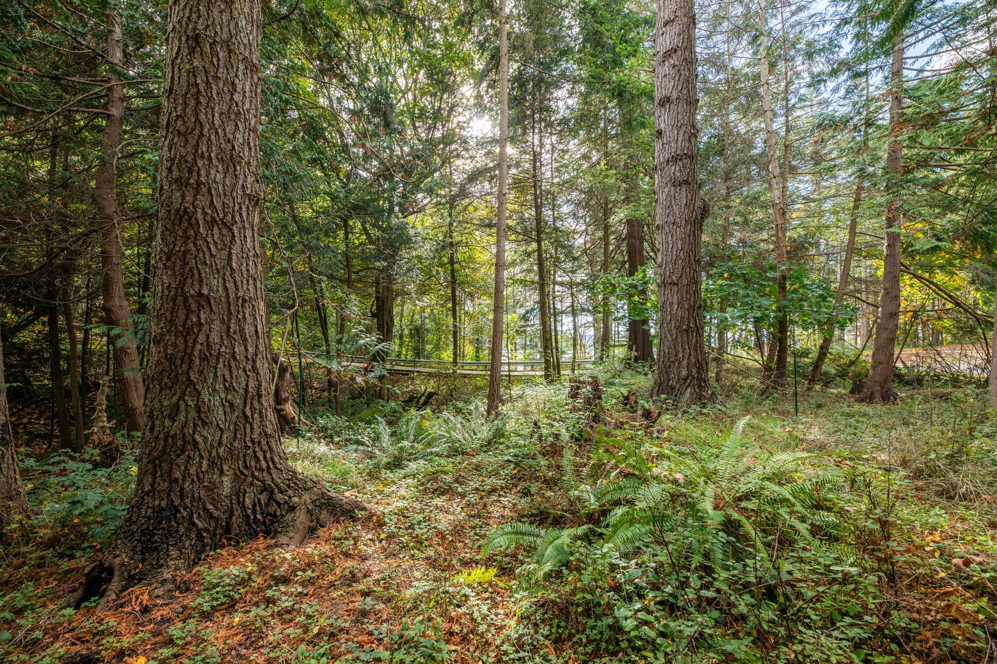 555 Klamath 8-web-or-mls-1V5A7904.jpg
