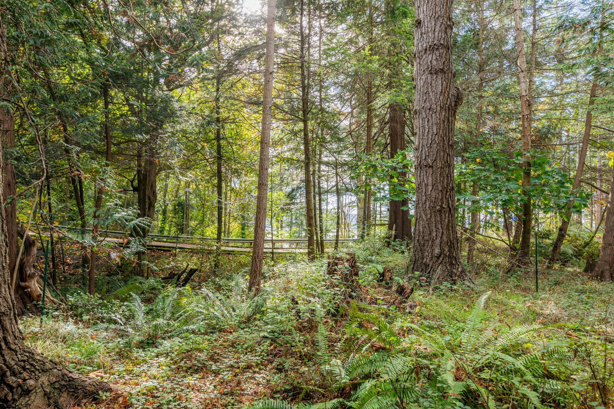 555 Klamath 9-web-or-mls-1V5A7905.jpg